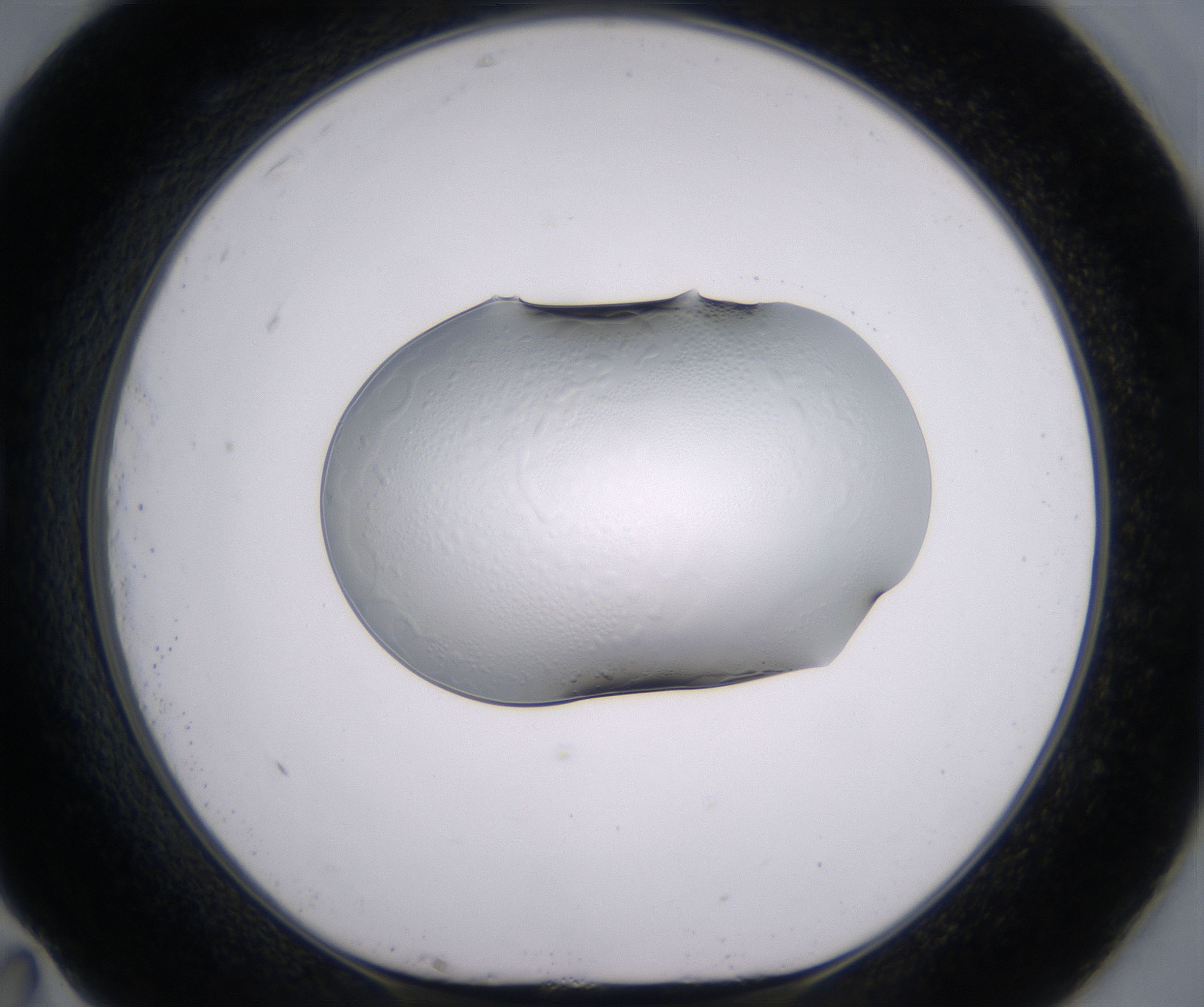 G11_HighResolution_Clear_1.jpg