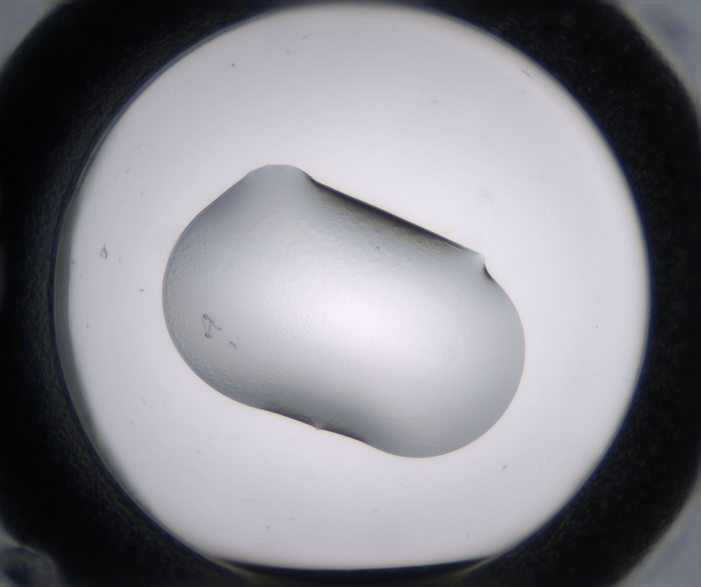 G12_HighResolution_Clear_1.jpg