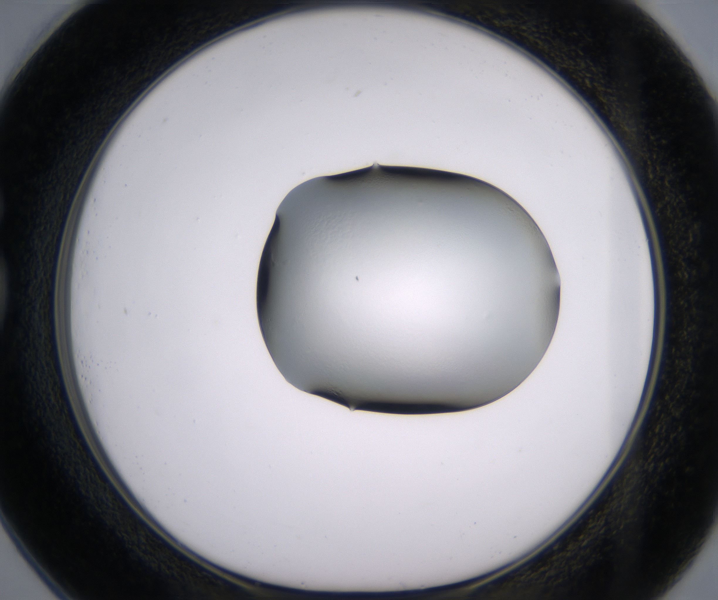 G1_HighResolution_Clear_1.jpg