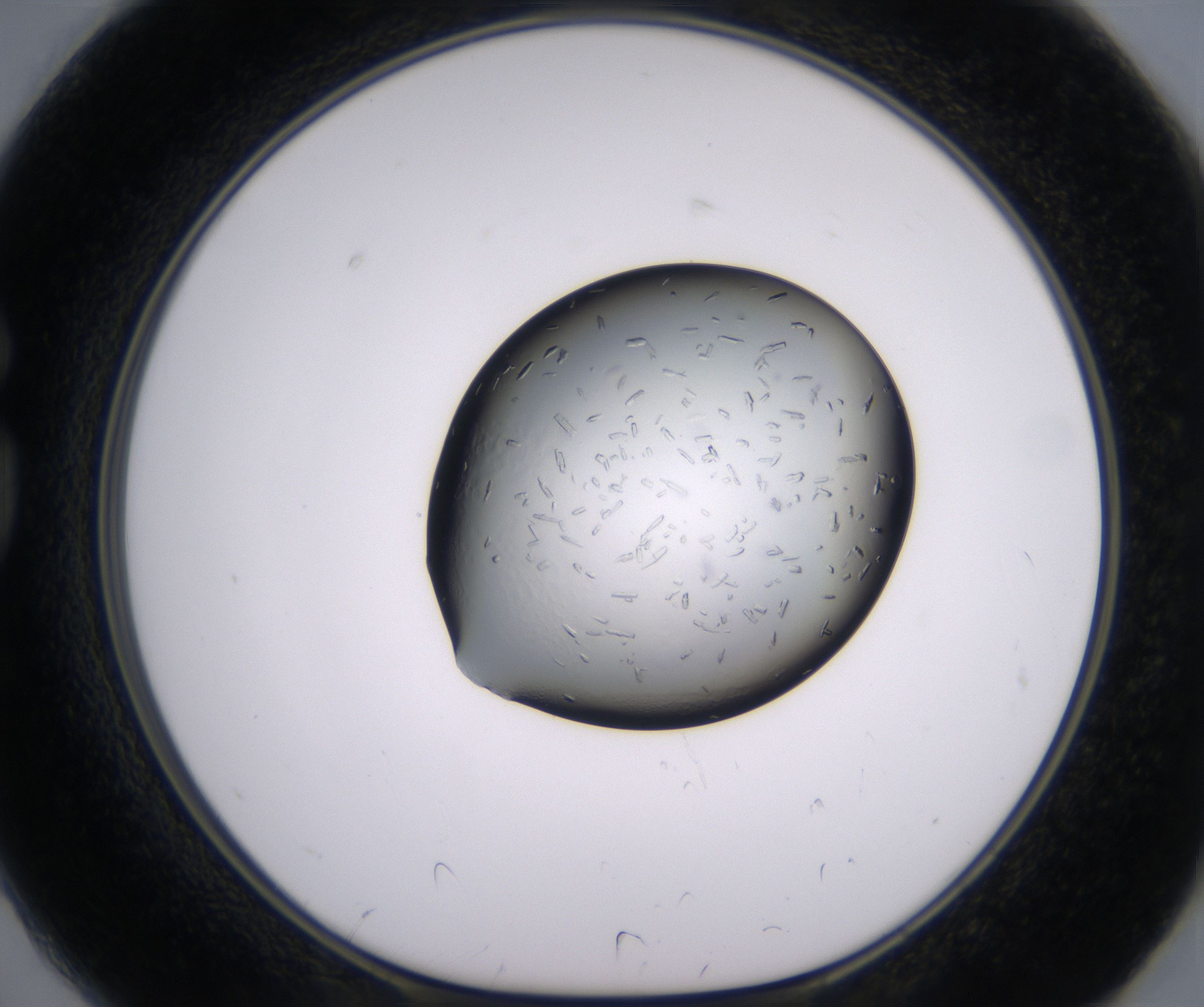 G2_HighResolution_Crystal_1.jpg