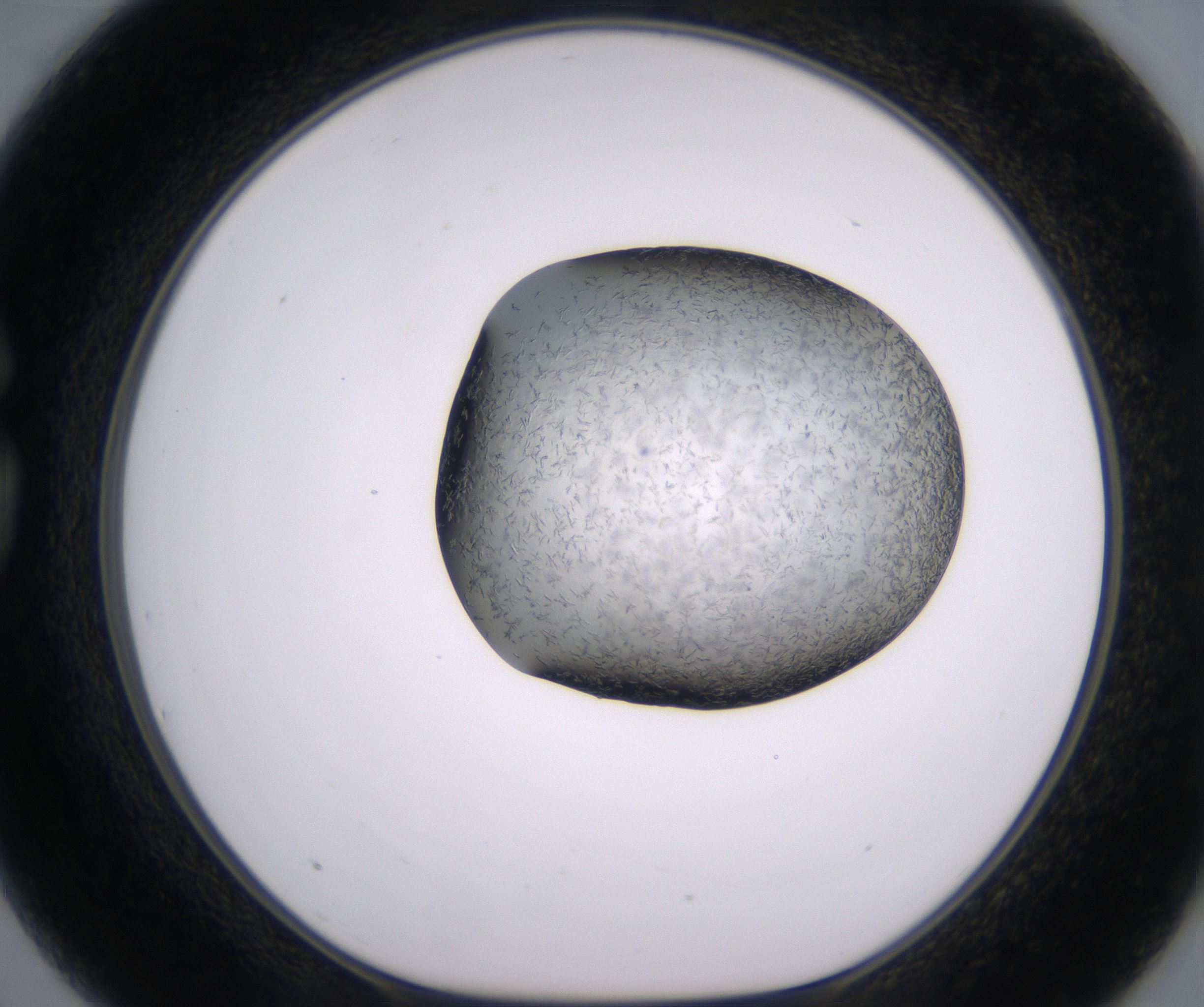 G3_HighResolution_Crystal_1.jpg