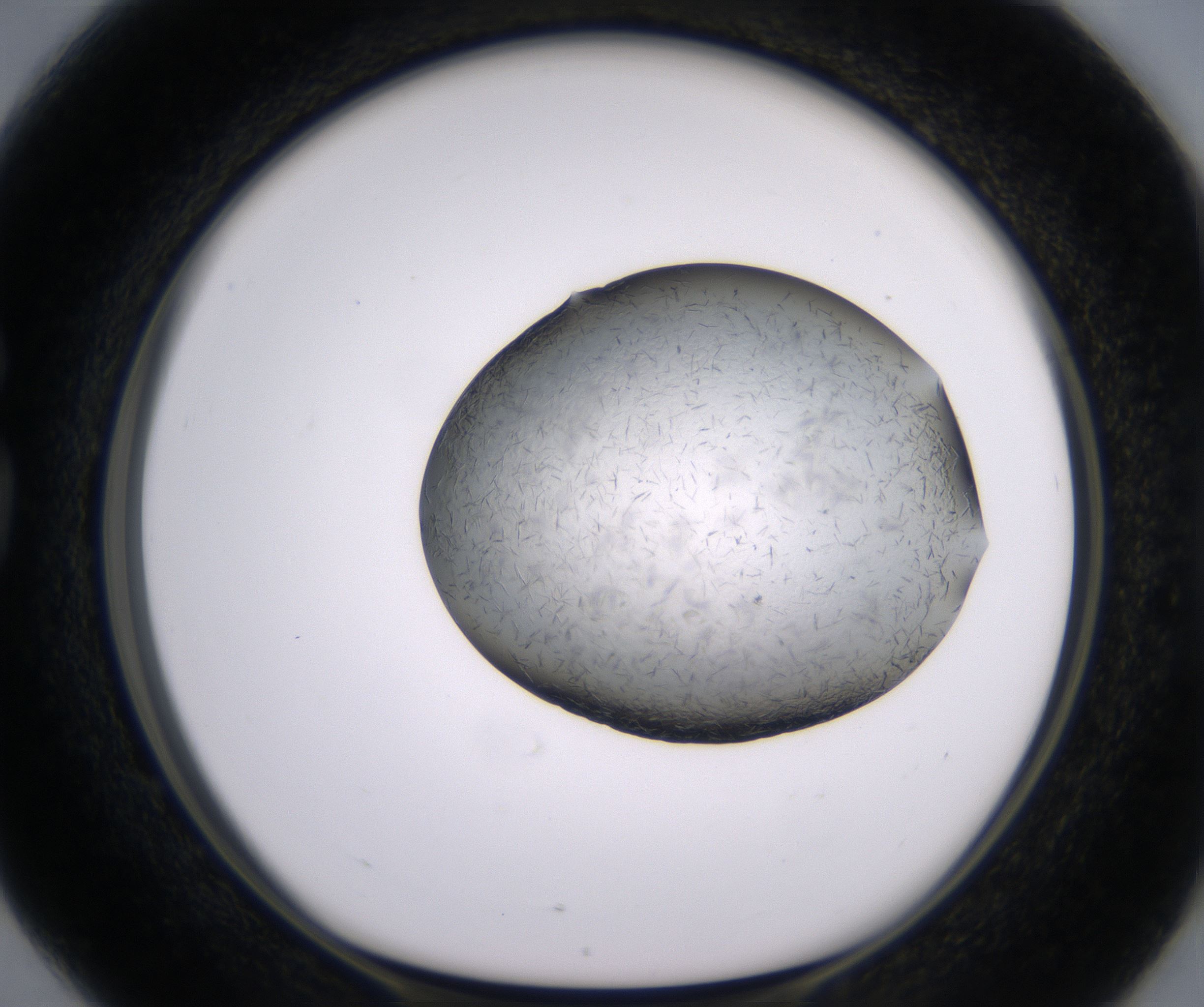 G4_HighResolution_Crystal_1.jpg