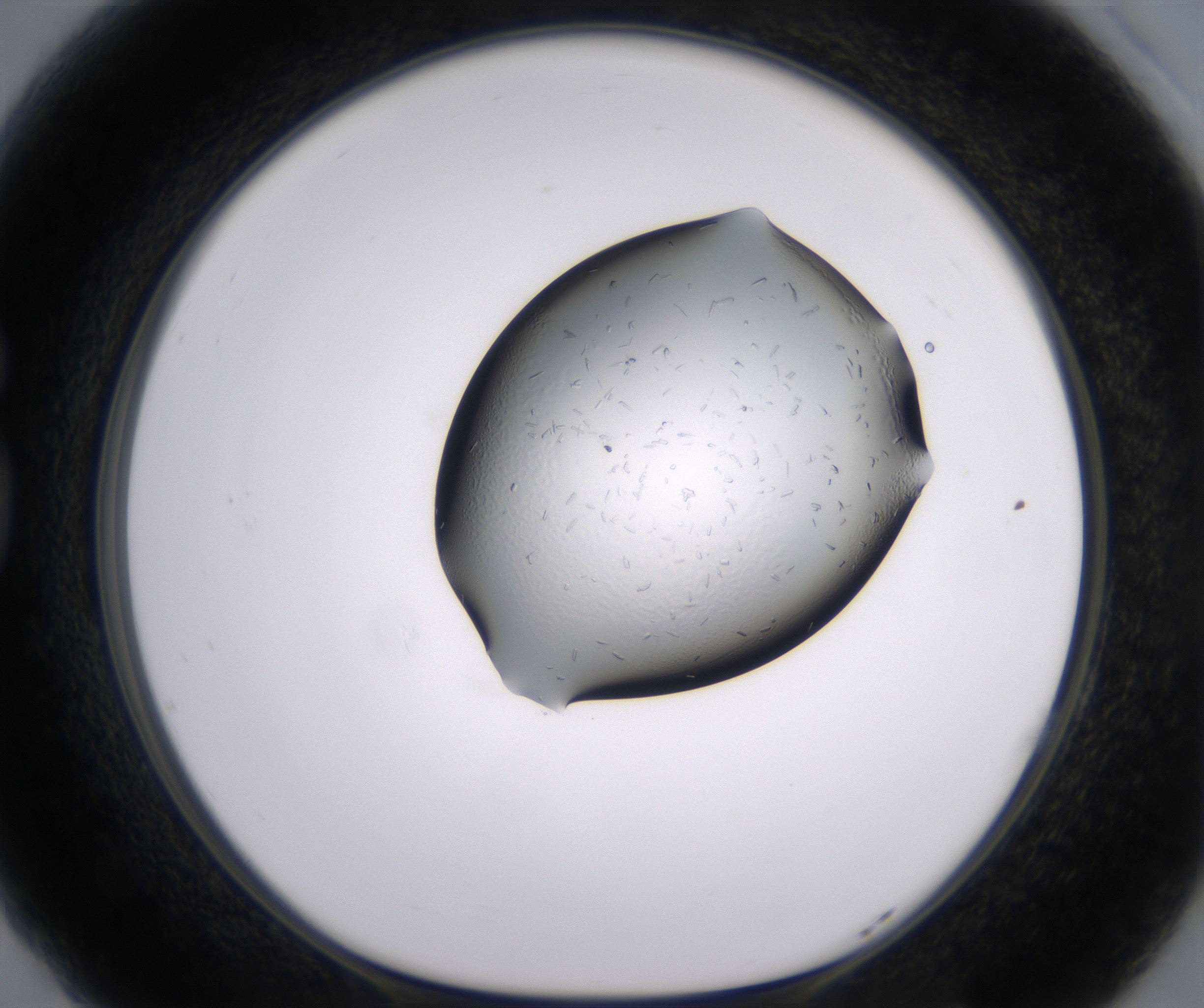 G5_HighResolution_Crystal_1.jpg
