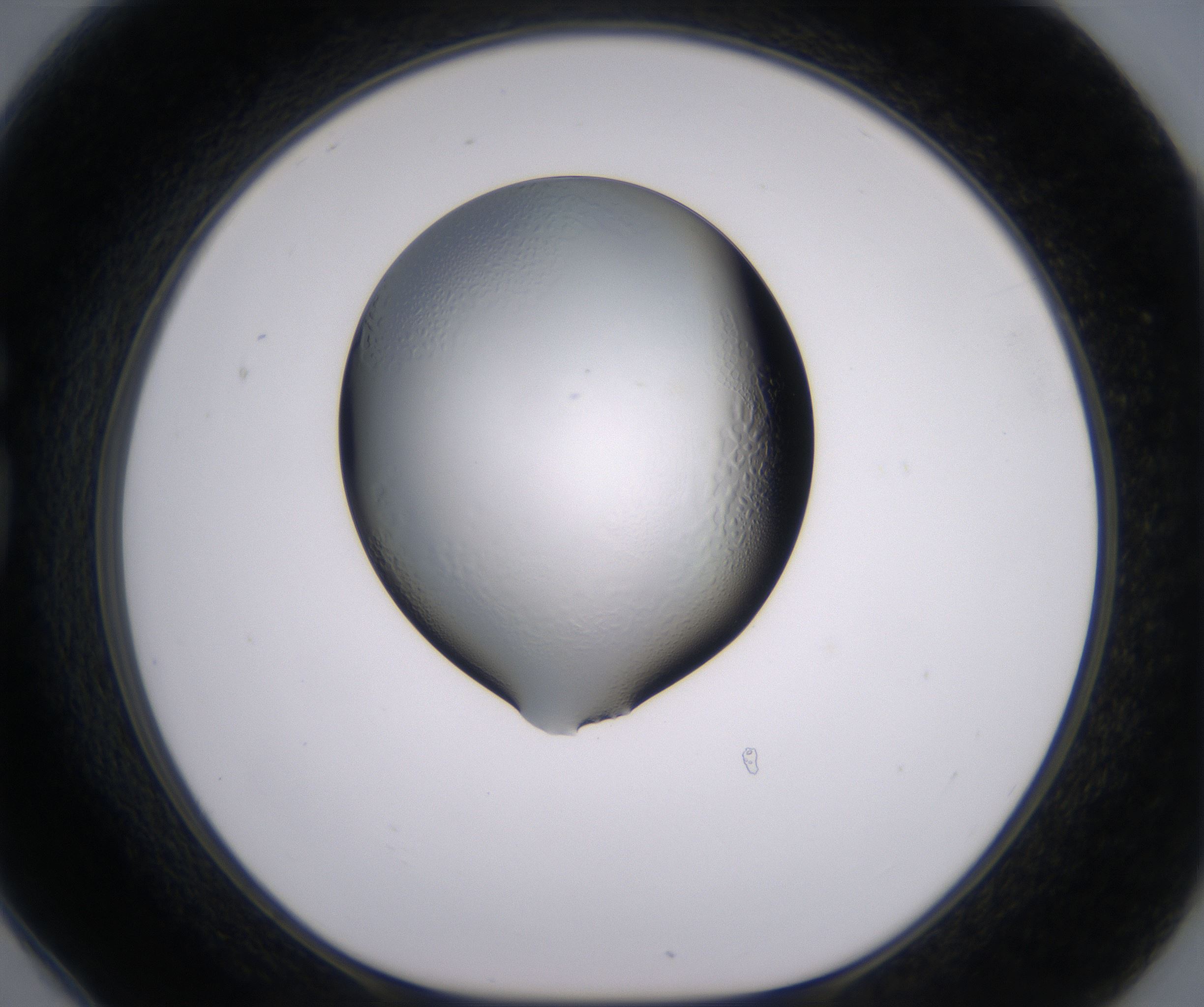 G6_HighResolution_Clear_1.jpg