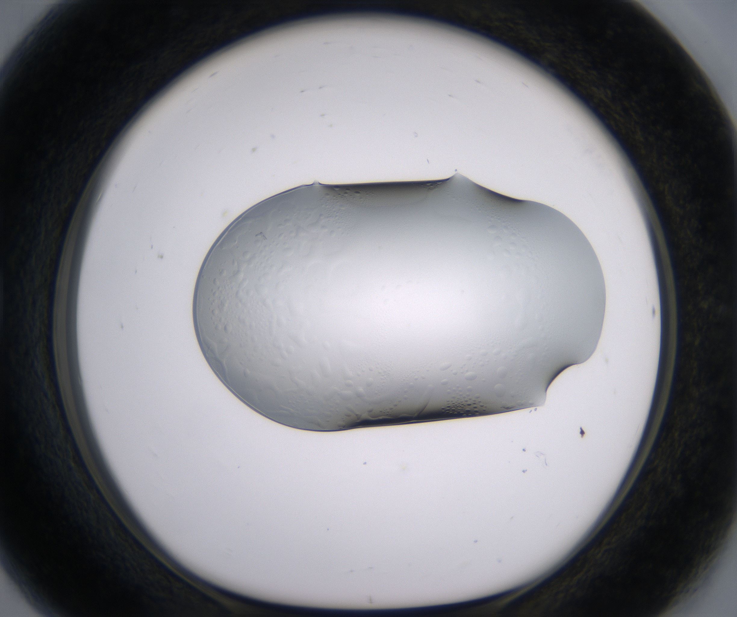 G8_HighResolution_Clear_1.jpg