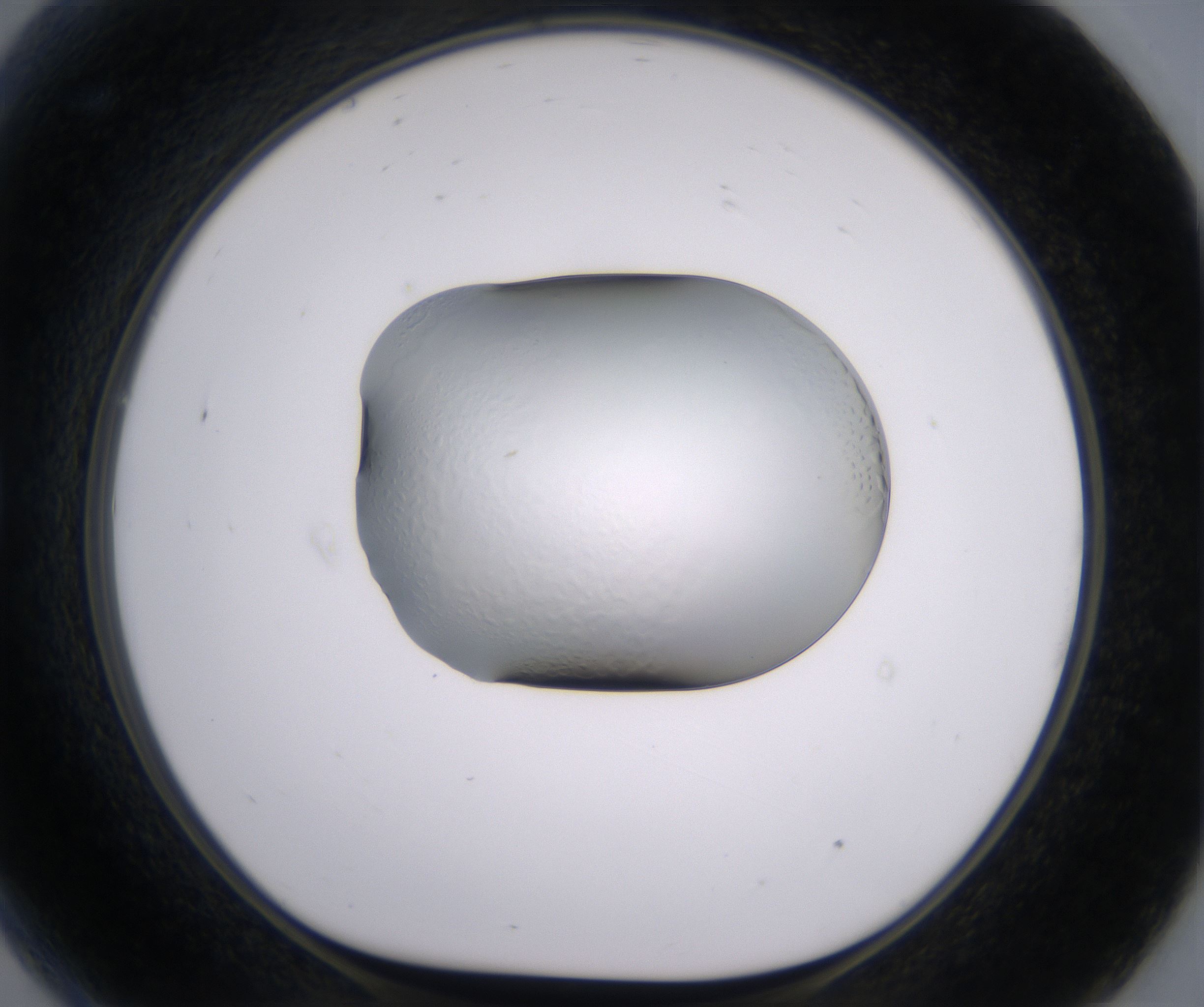 G9_HighResolution_Clear_1.jpg