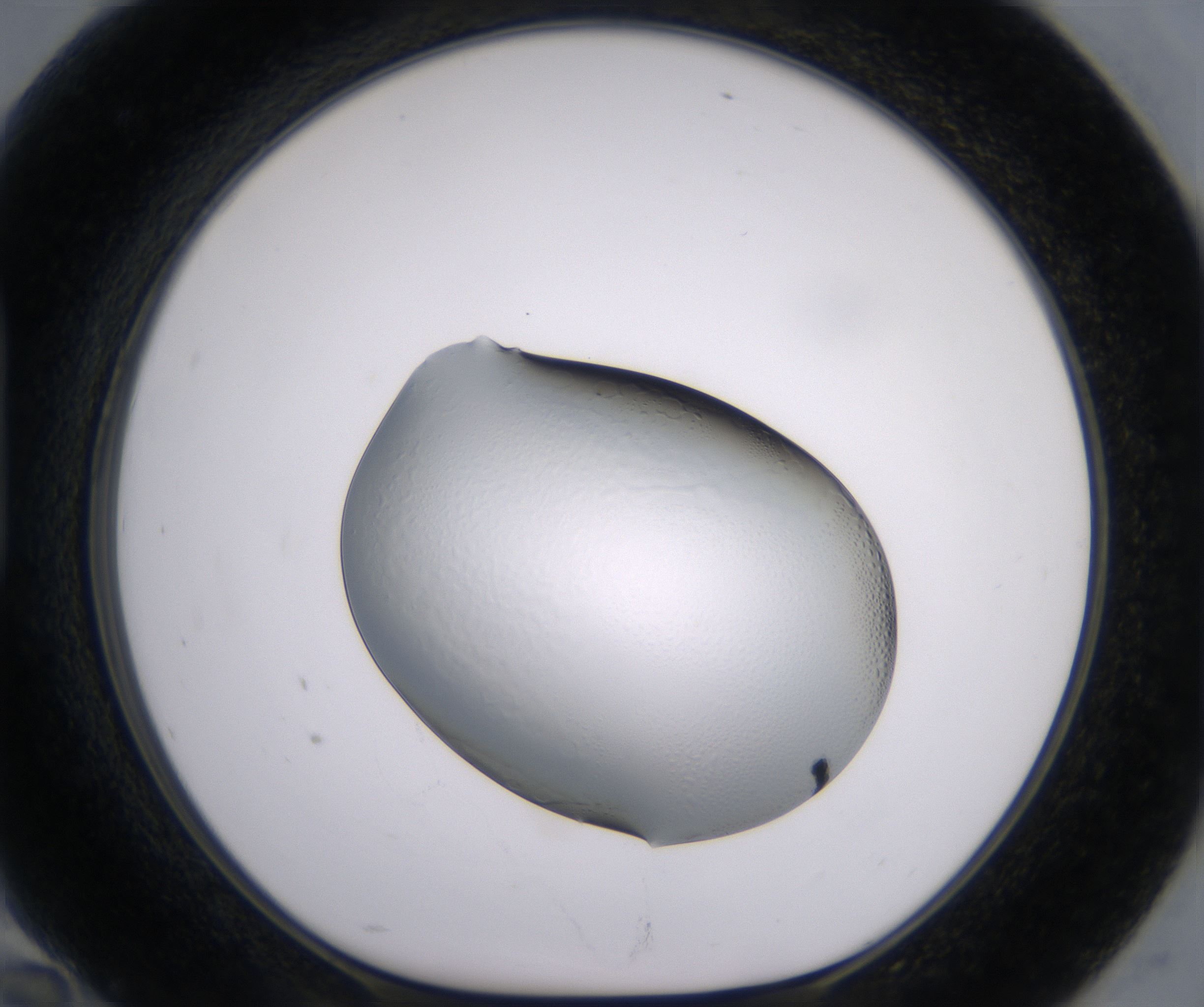 H10_HighResolution_Clear_1.jpg