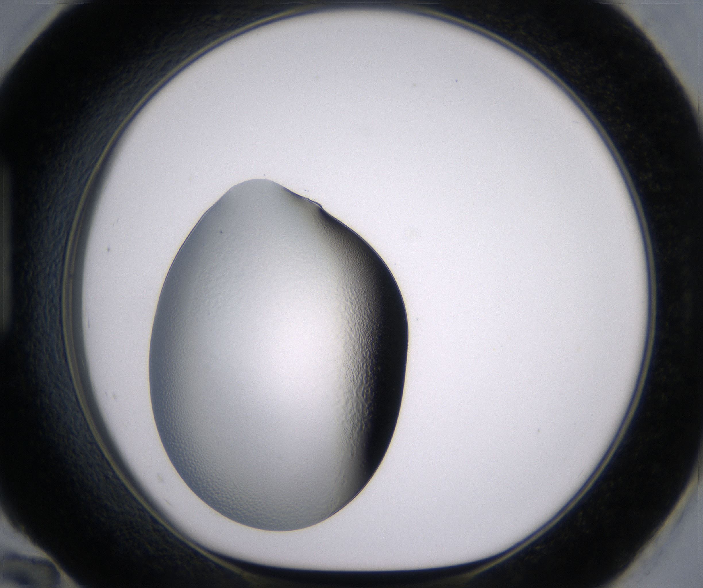 H12_HighResolution_Clear_1.jpg