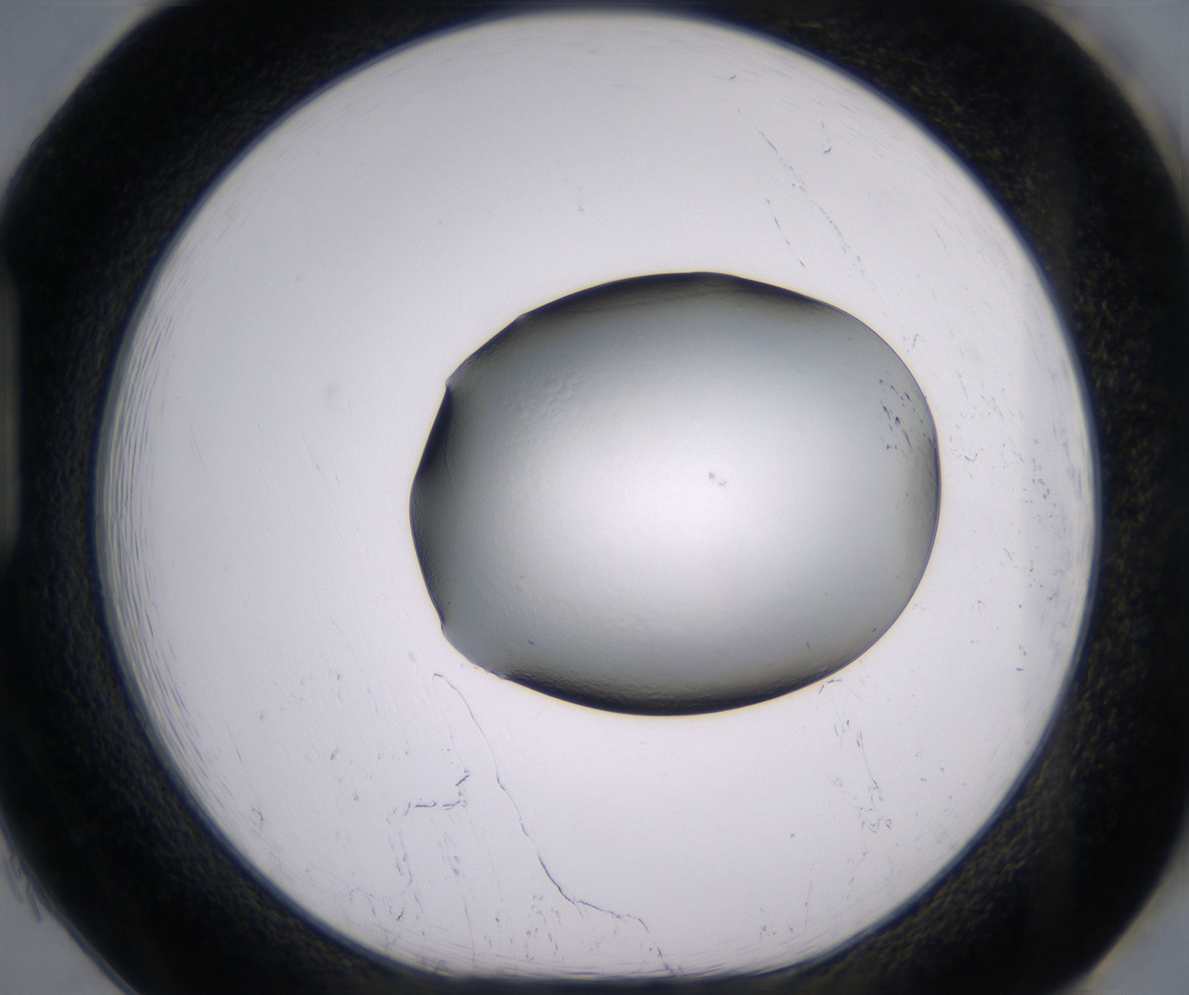 H1_HighResolution_Clear_1.jpg