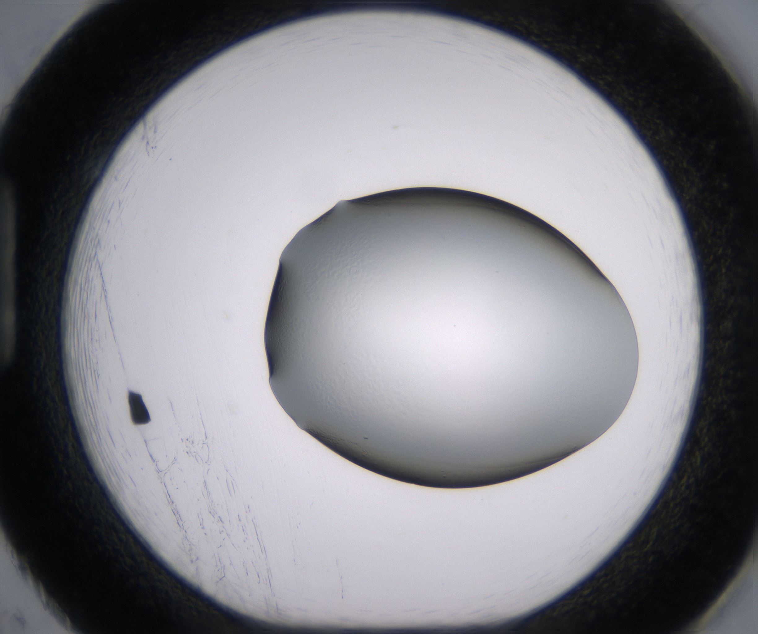 H2_HighResolution_Clear_1.jpg
