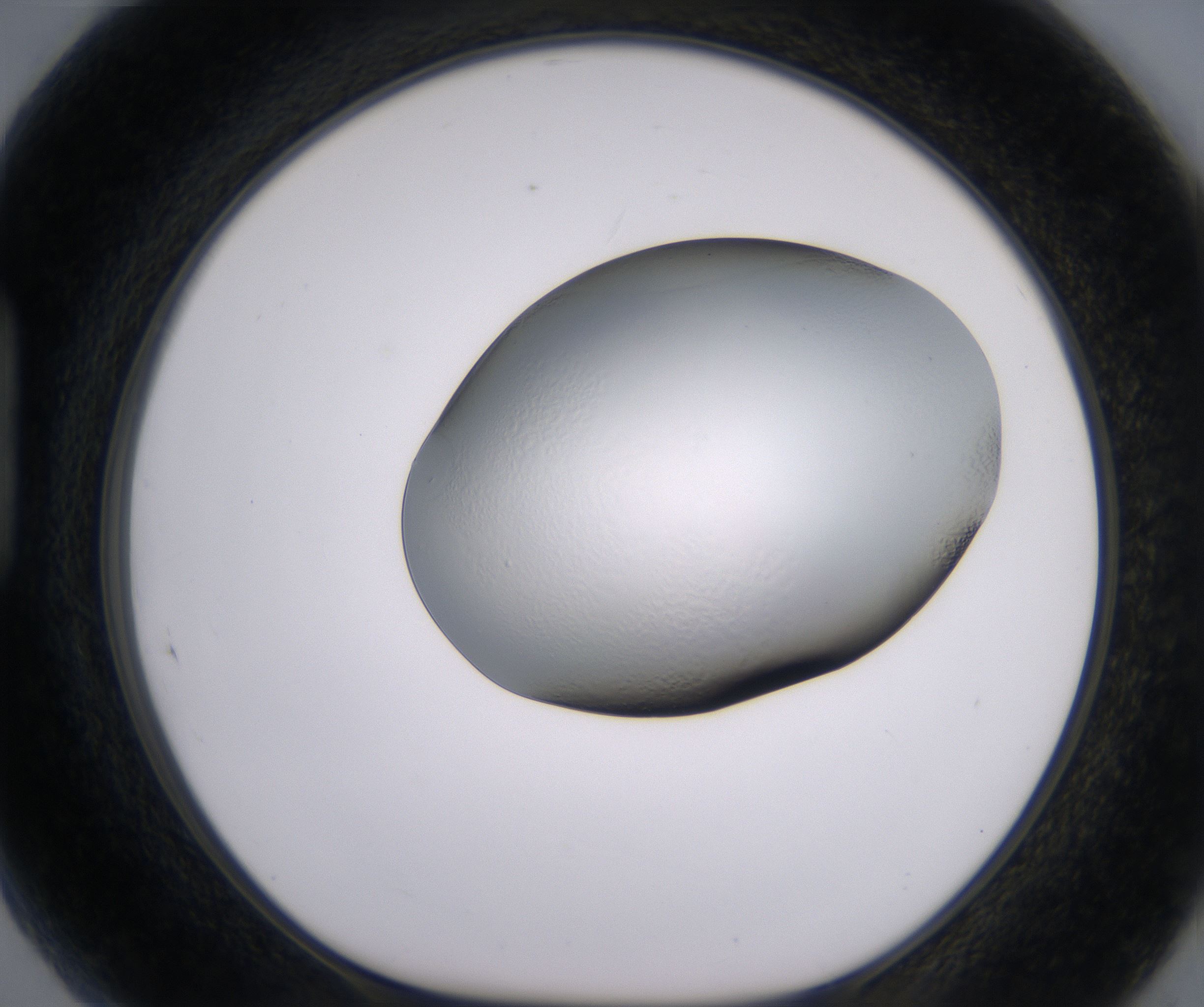 H5_HighResolution_Clear_1.jpg