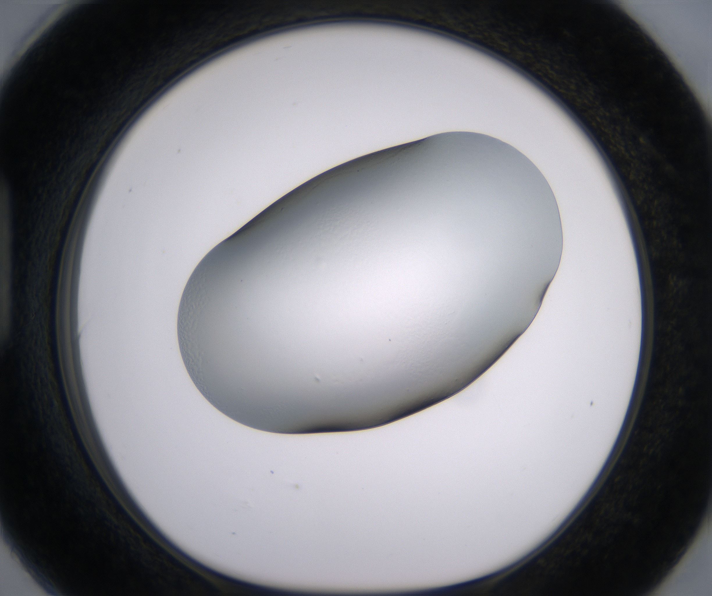 H6_HighResolution_Clear_1.jpg