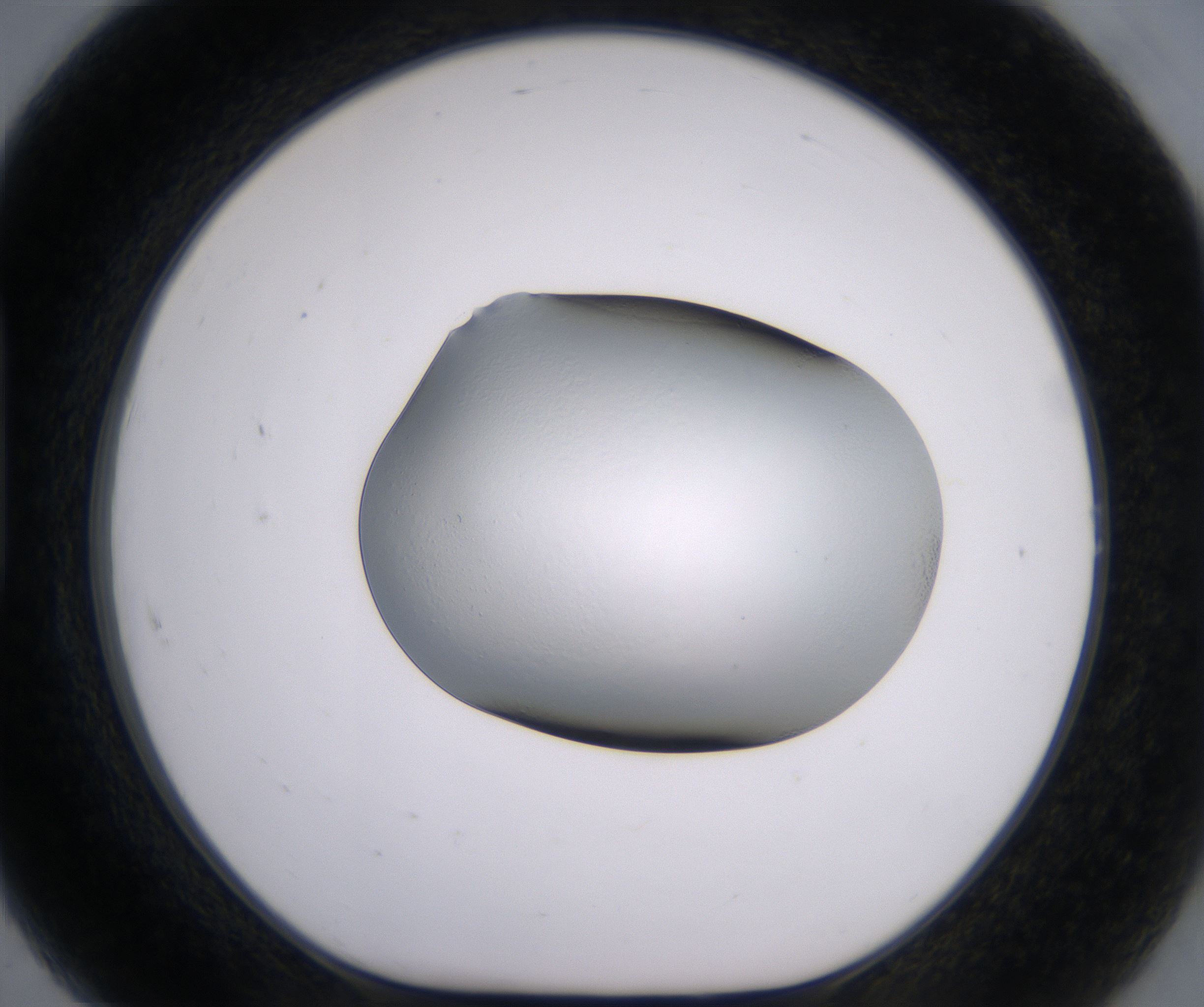 H7_HighResolution_Clear_1.jpg