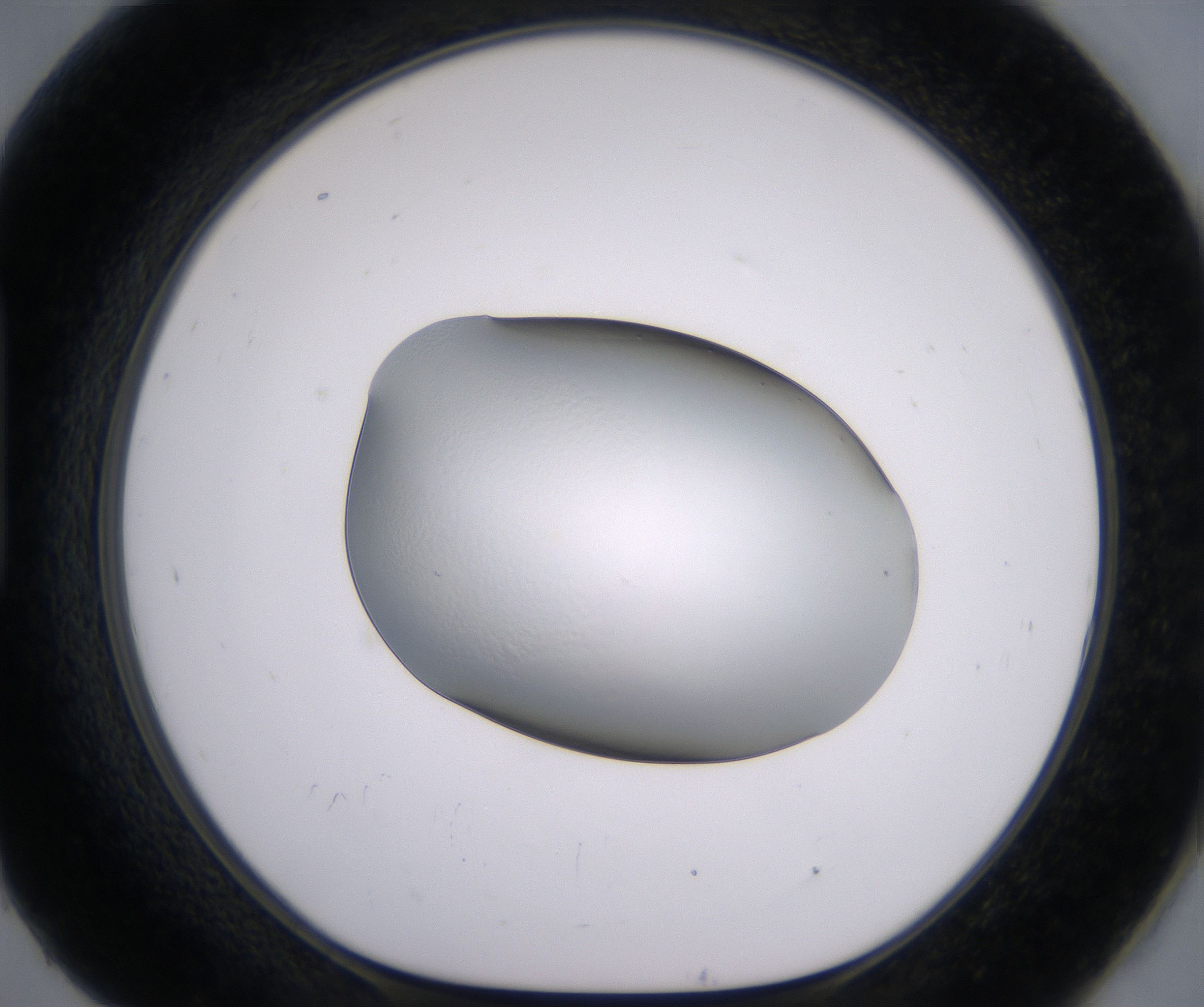 H9_HighResolution_Clear_1.jpg
