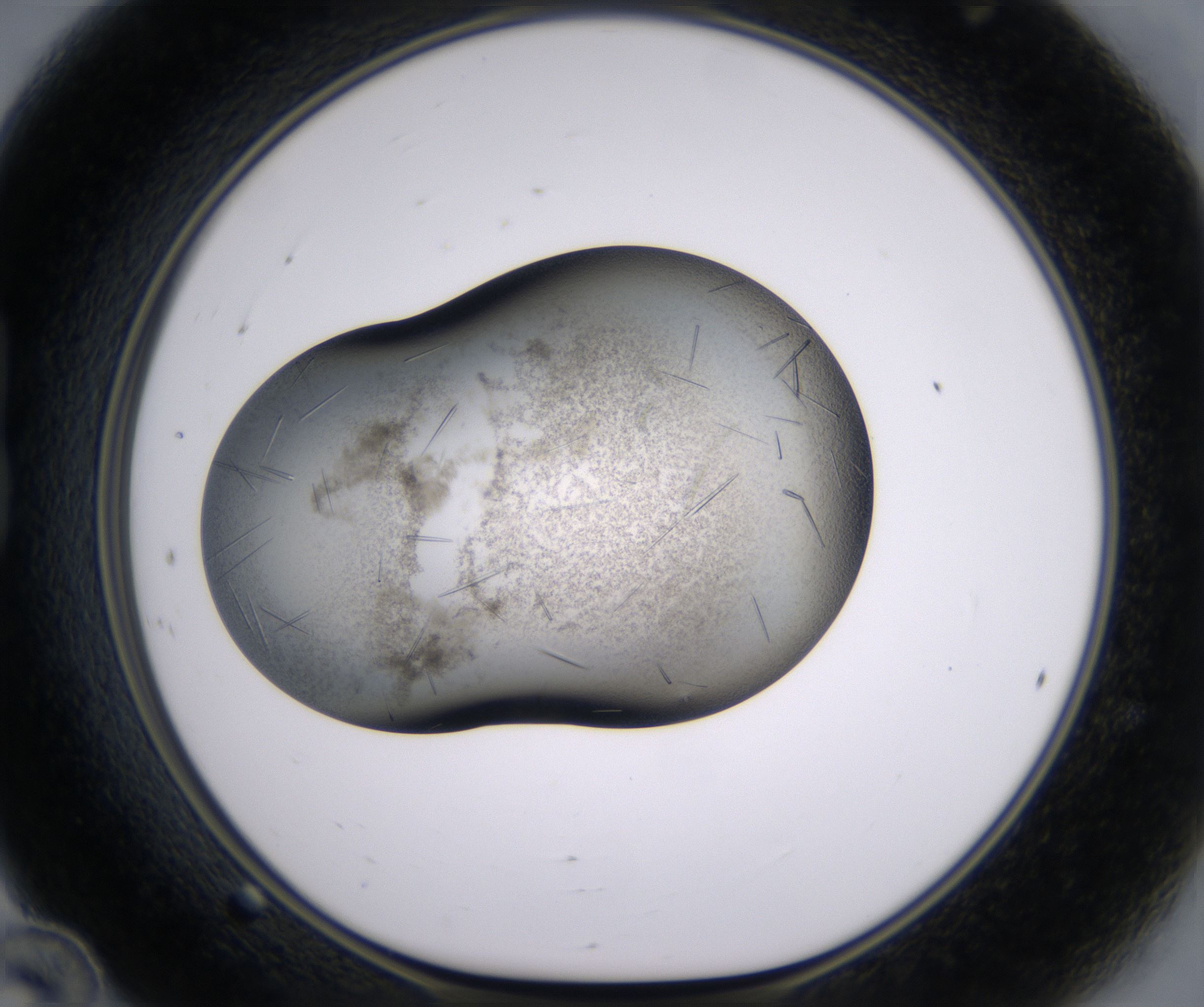 B12_HighResolution_Crystal_1.jpg