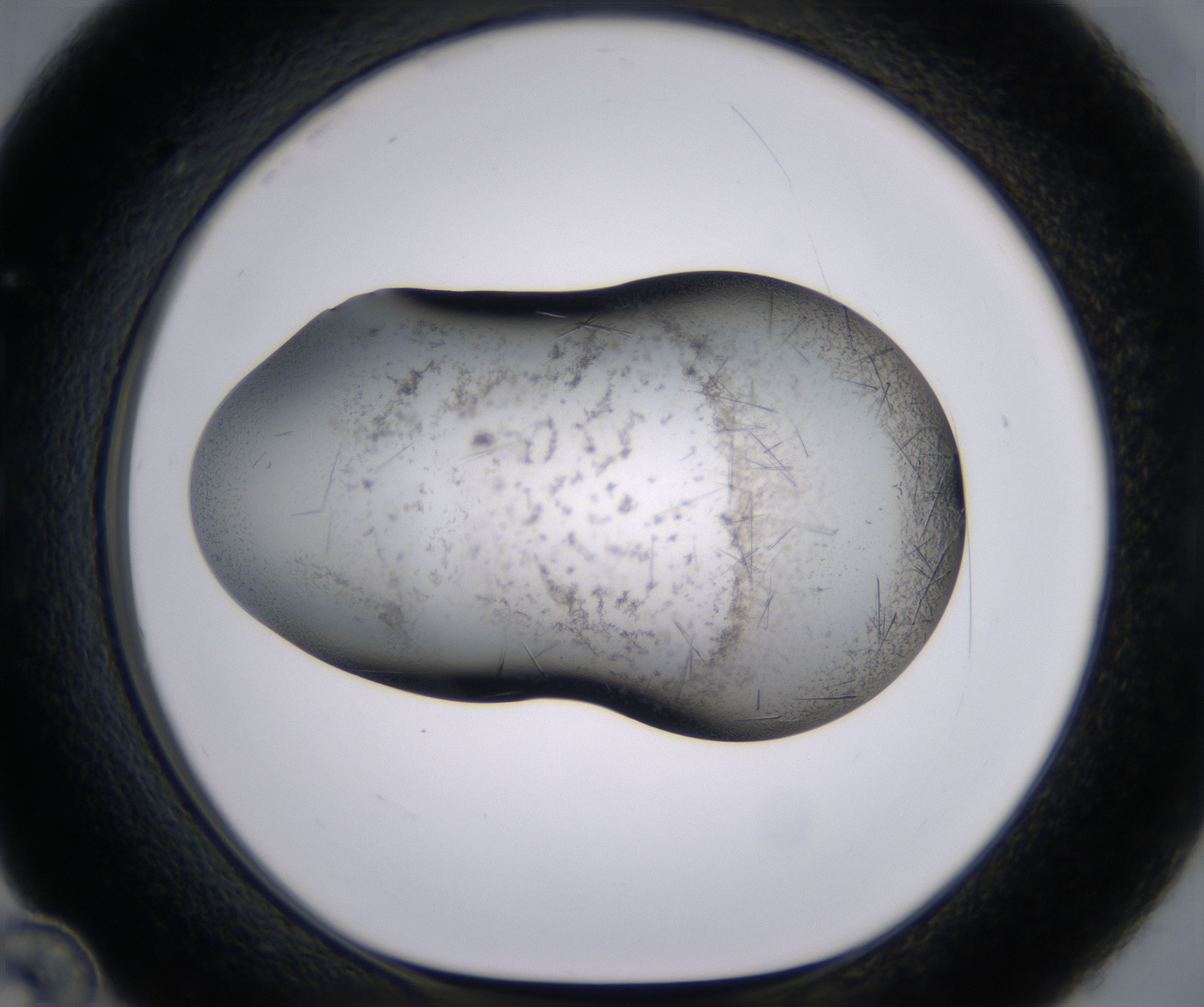 C12_HighResolution_Crystal_1.jpg