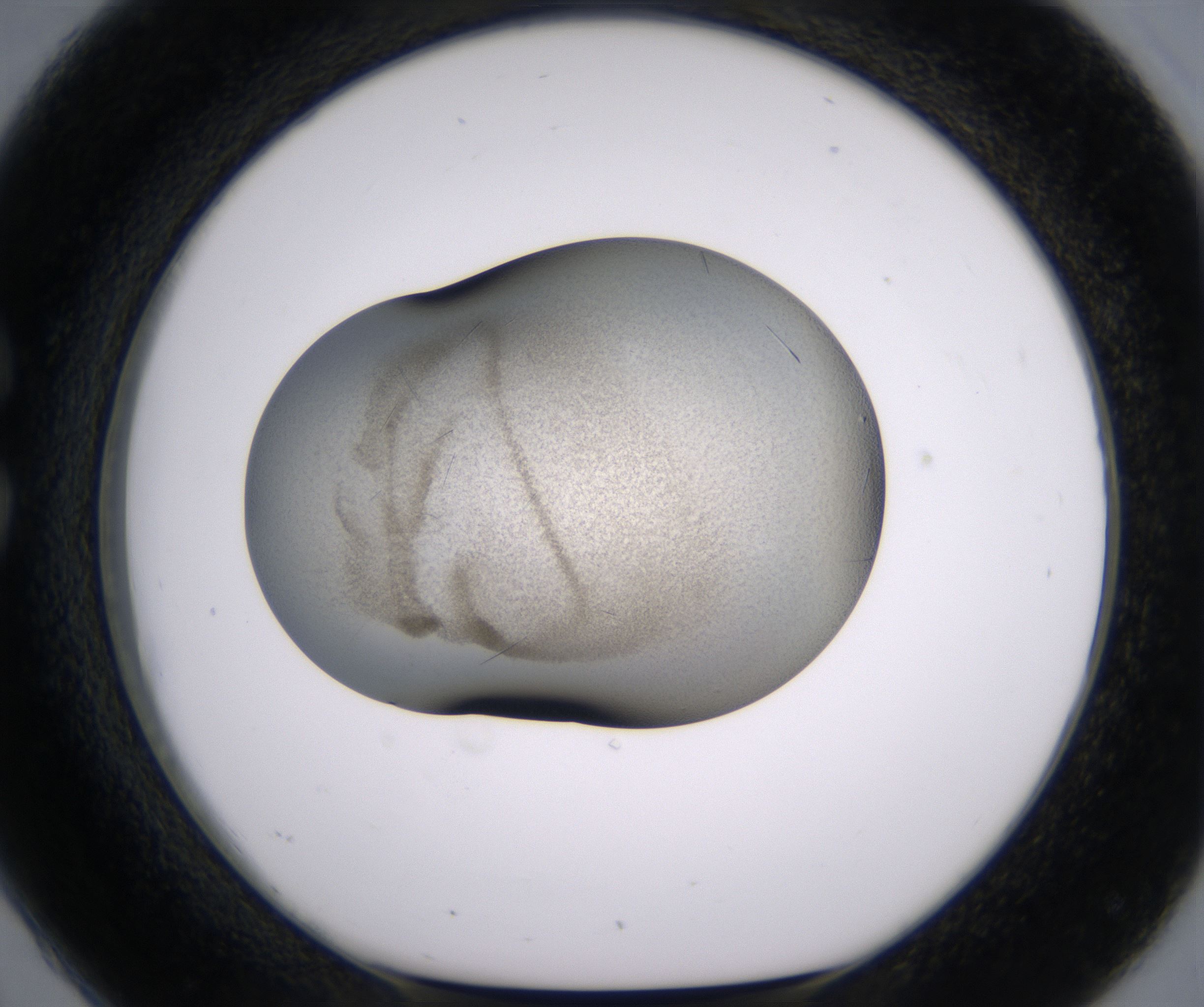 C2_HighResolution_Crystal_1.jpg