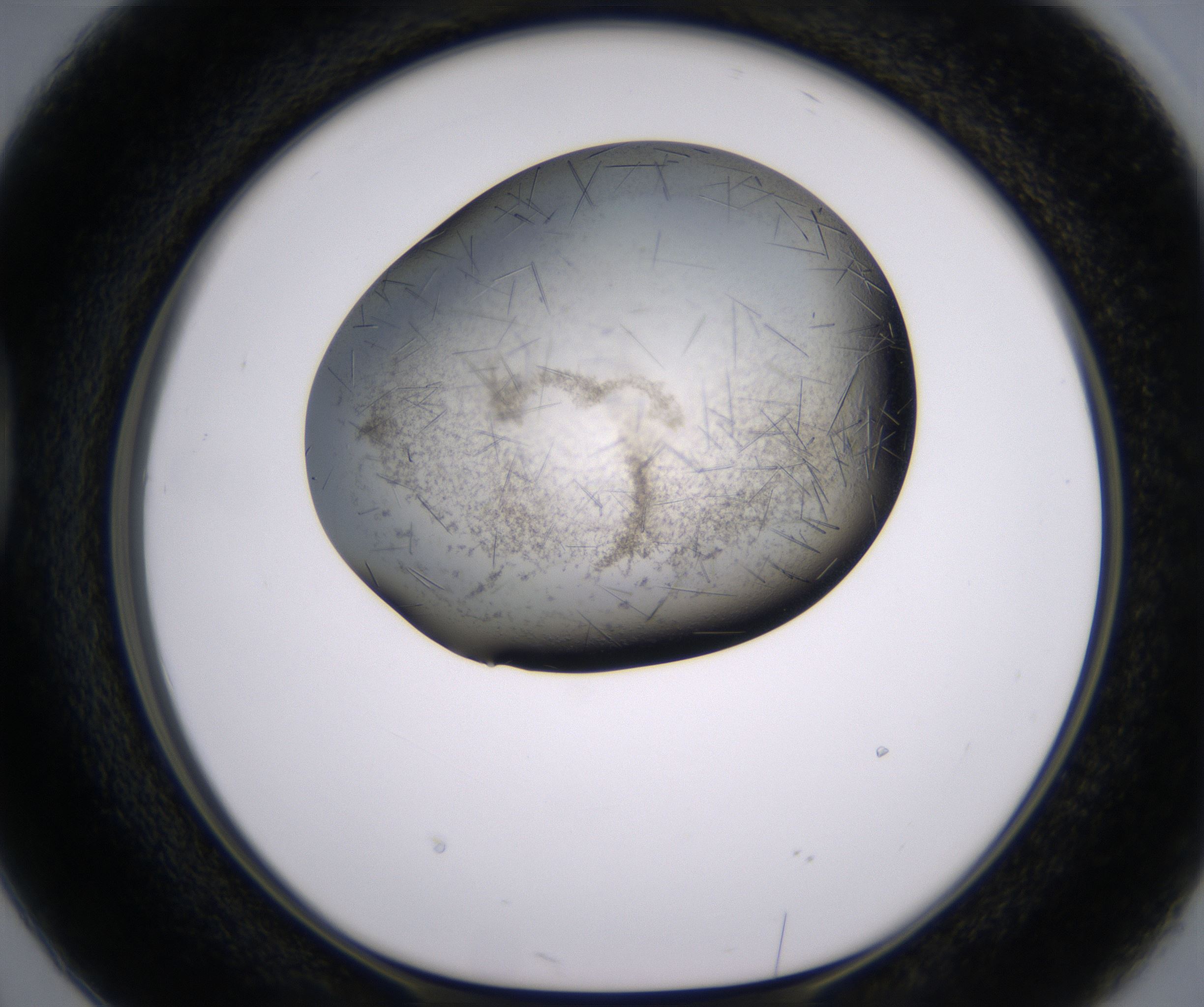 D2_HighResolution_Crystal_1.jpg