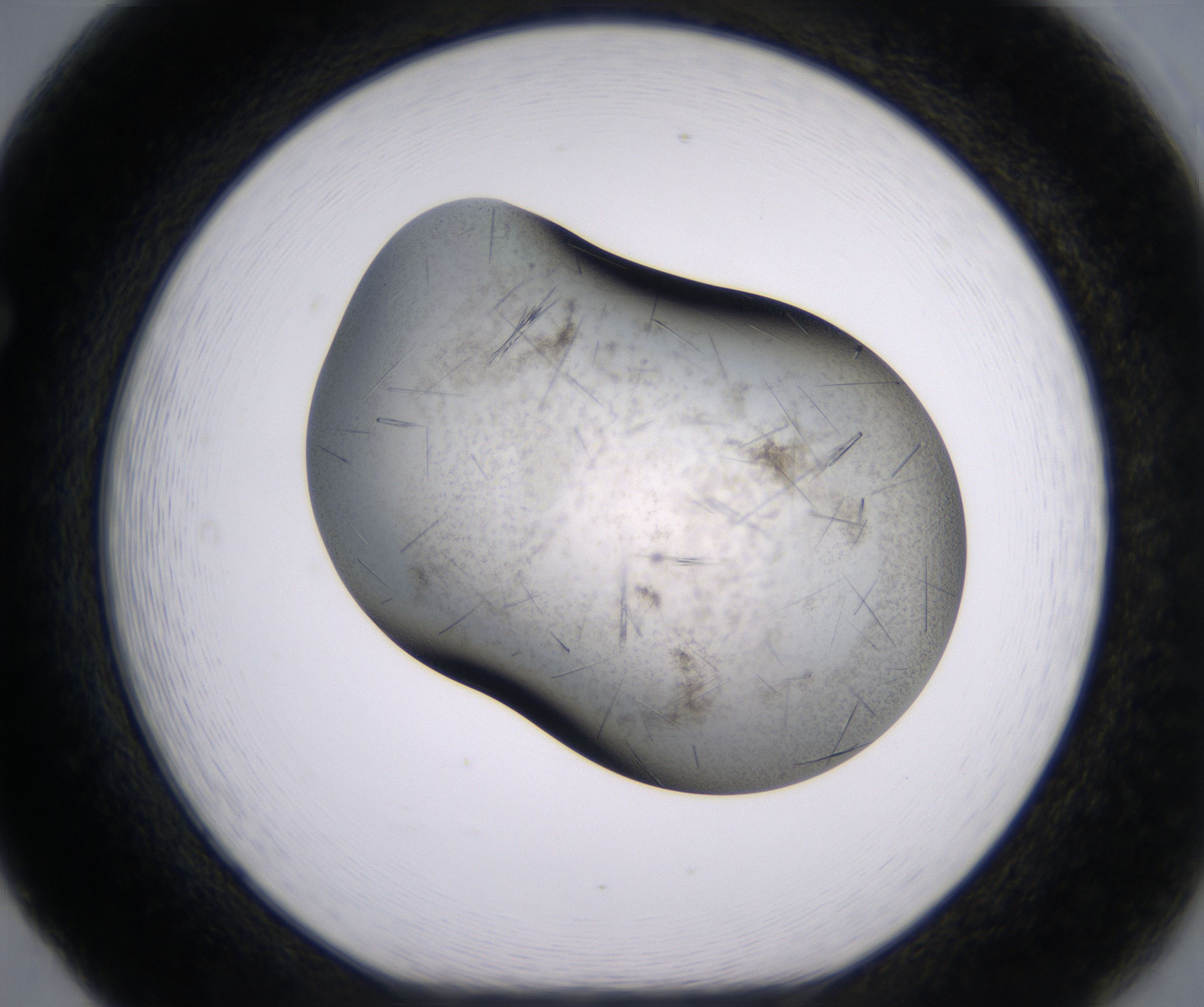 F5_HighResolution_Crystal_1.jpg