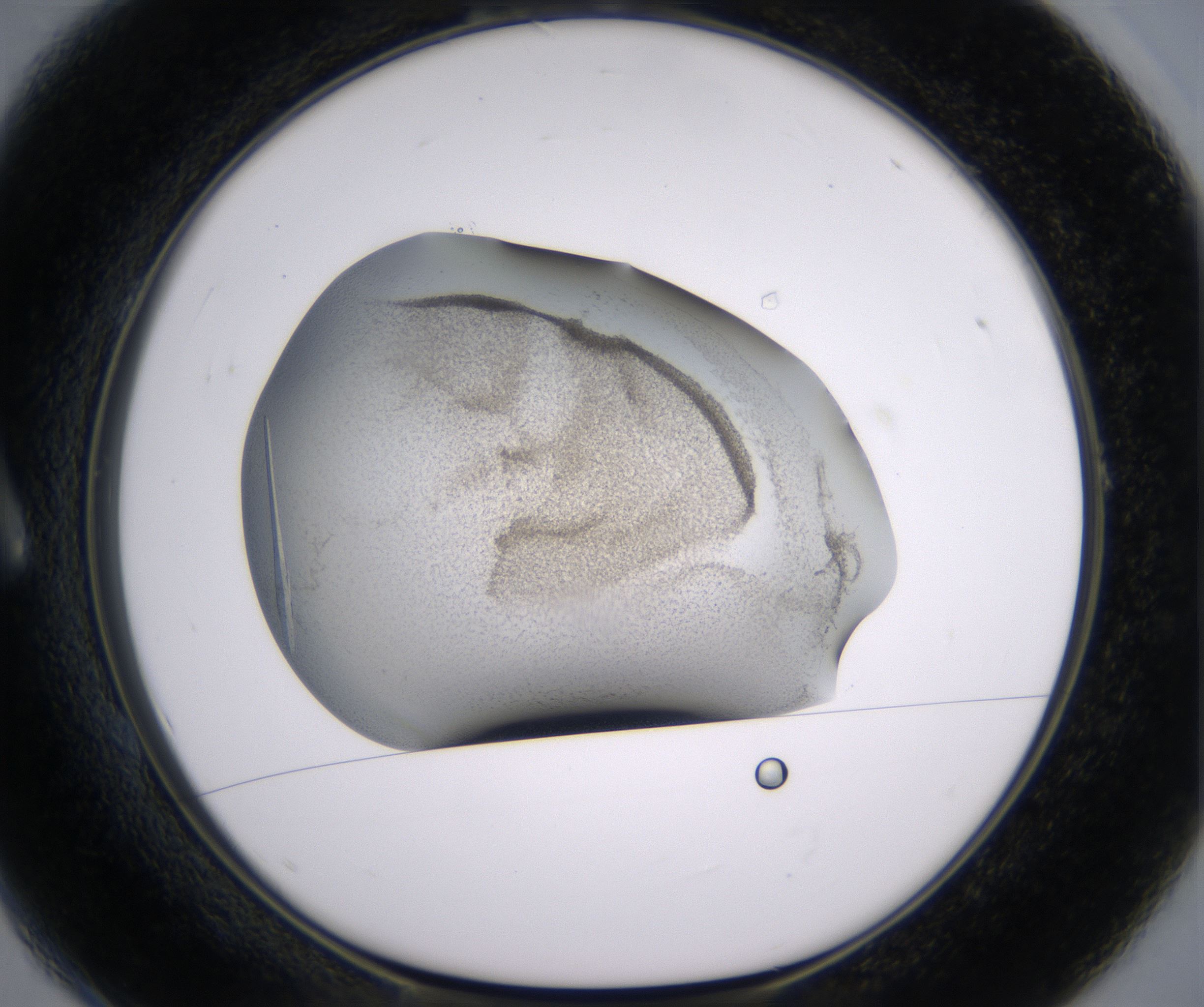 A1_HighResolution_Crystal_1.jpg