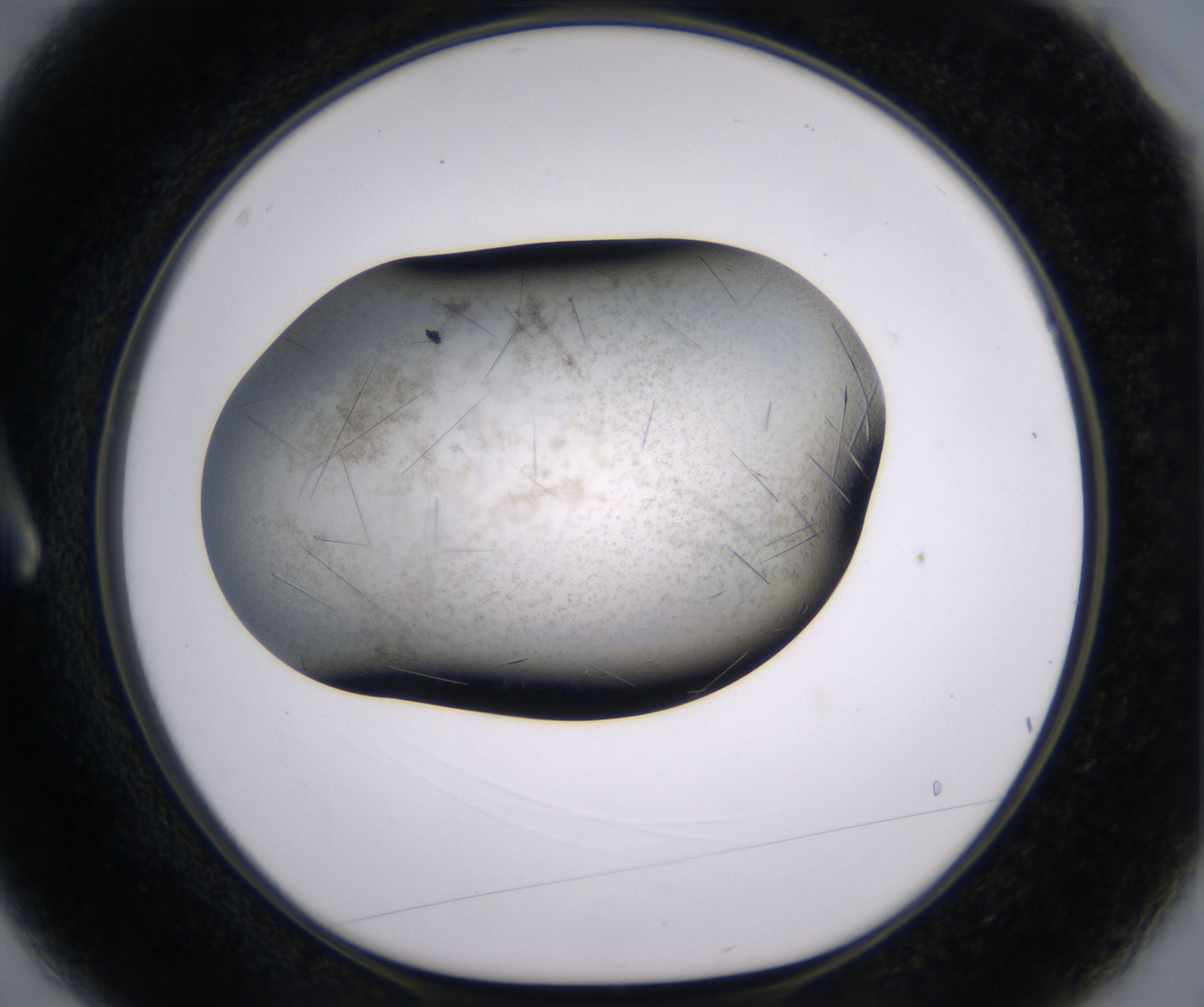 A3_HighResolution_Crystal_1.jpg