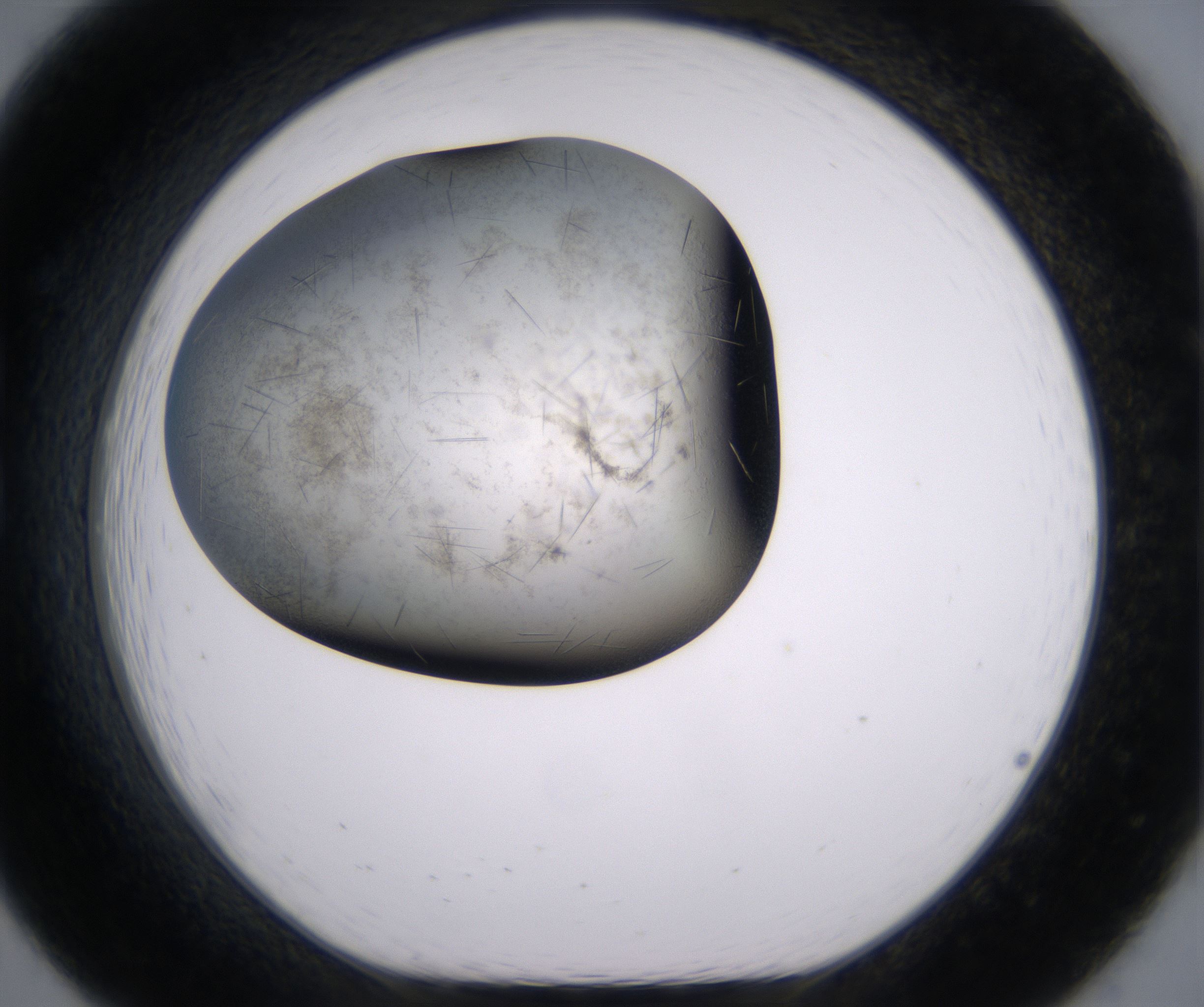 B7_HighResolution_Crystal_1.jpg