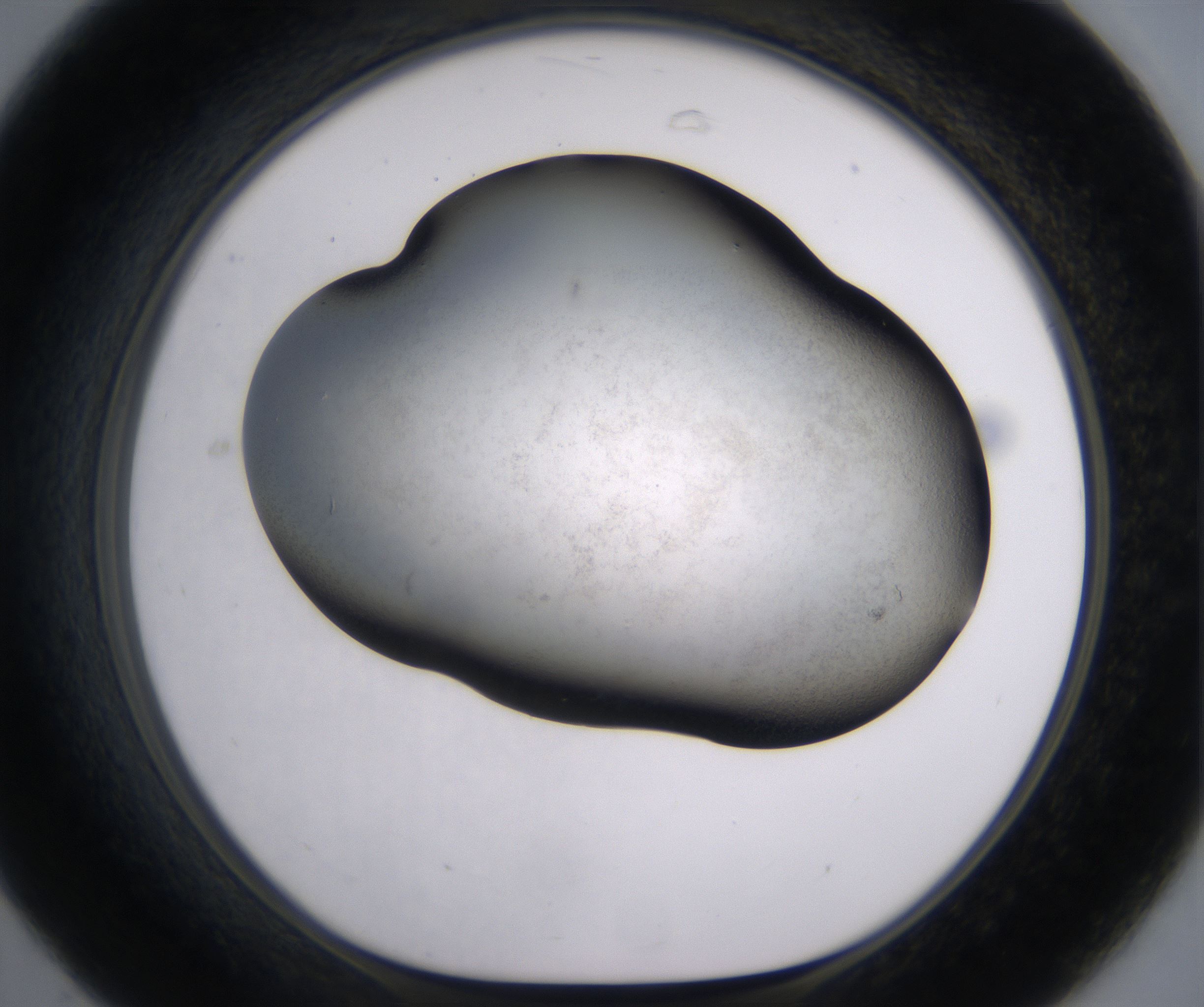 C7_HighResolution_Clear_1.jpg