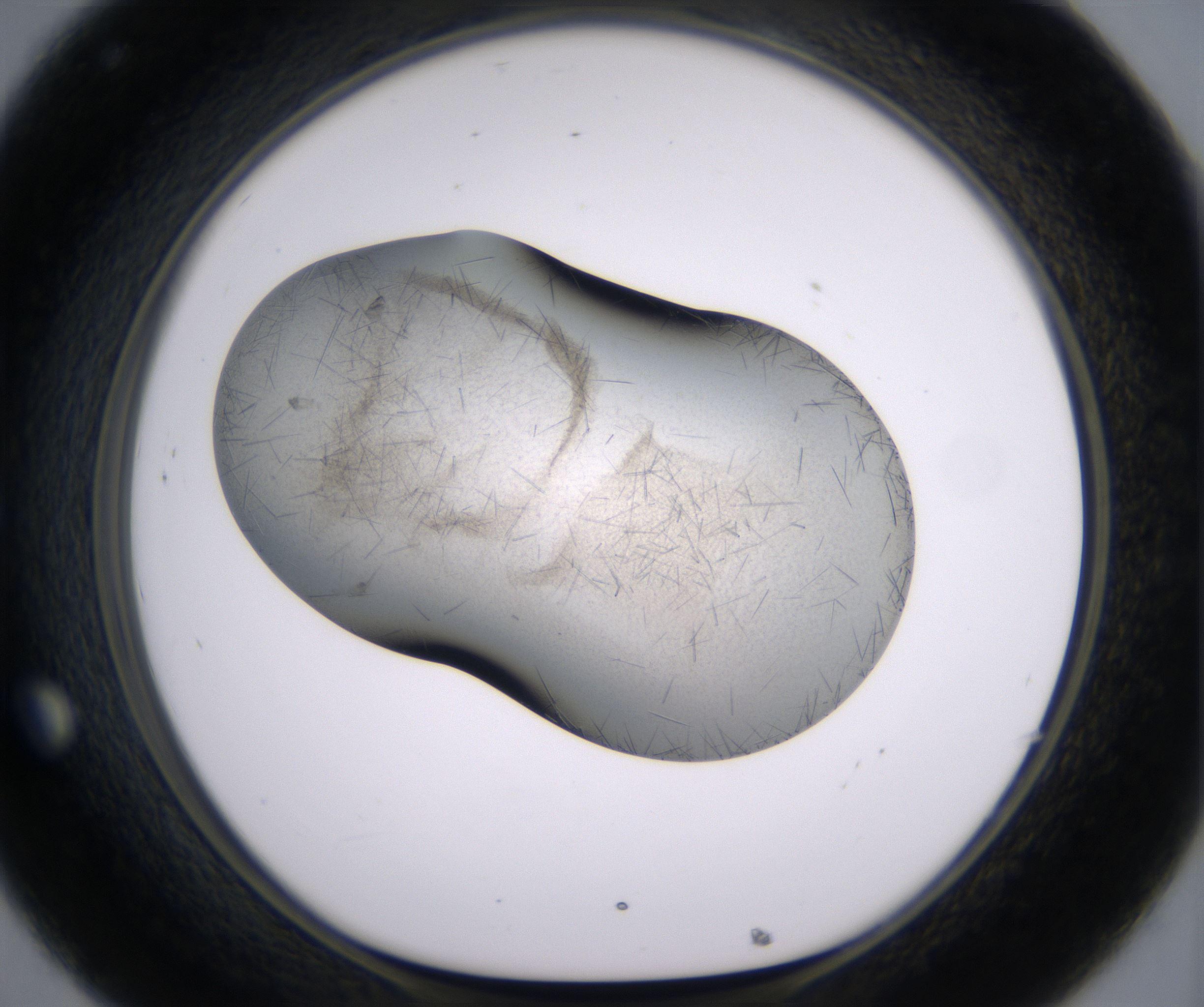 C8_HighResolution_Crystal_1.jpg