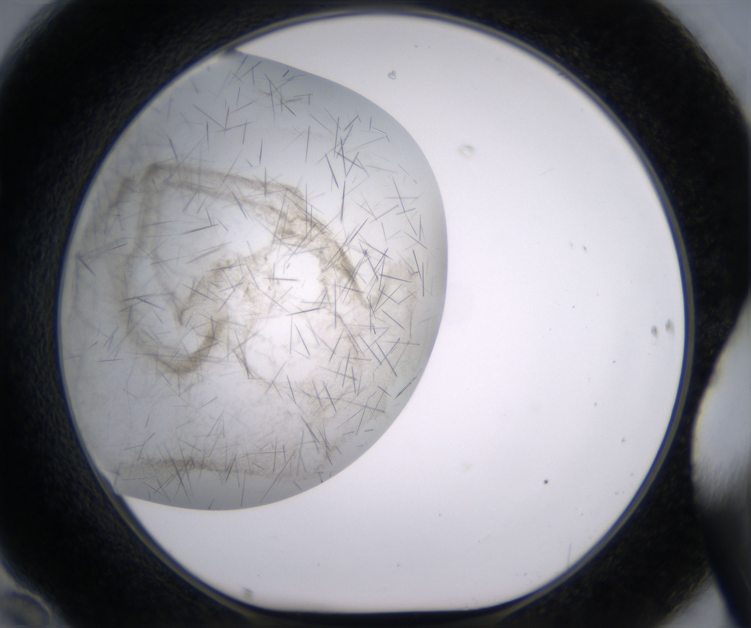 F10_HighResolution_Crystal_1.jpg