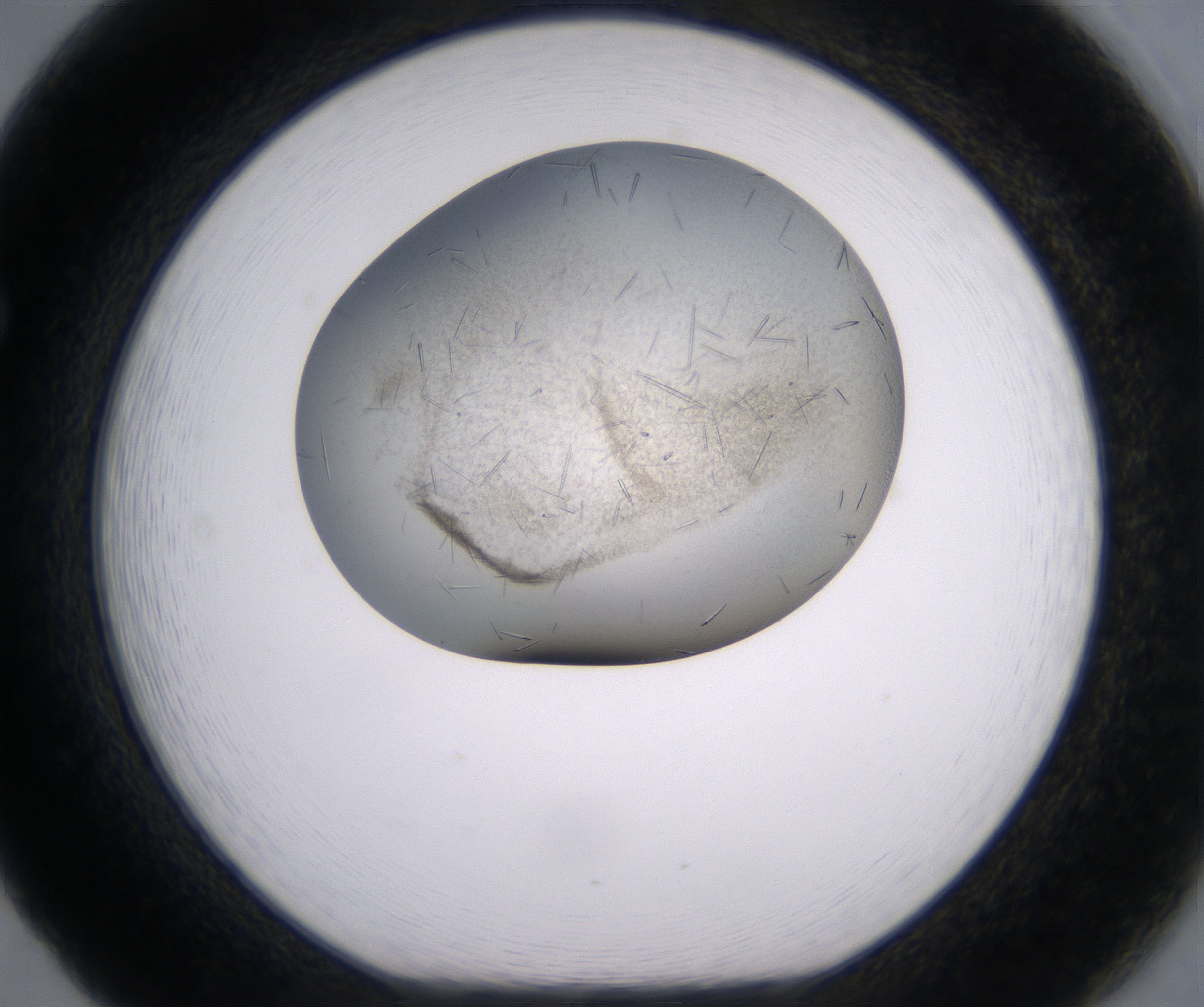 F5_HighResolution_Crystal_1.jpg
