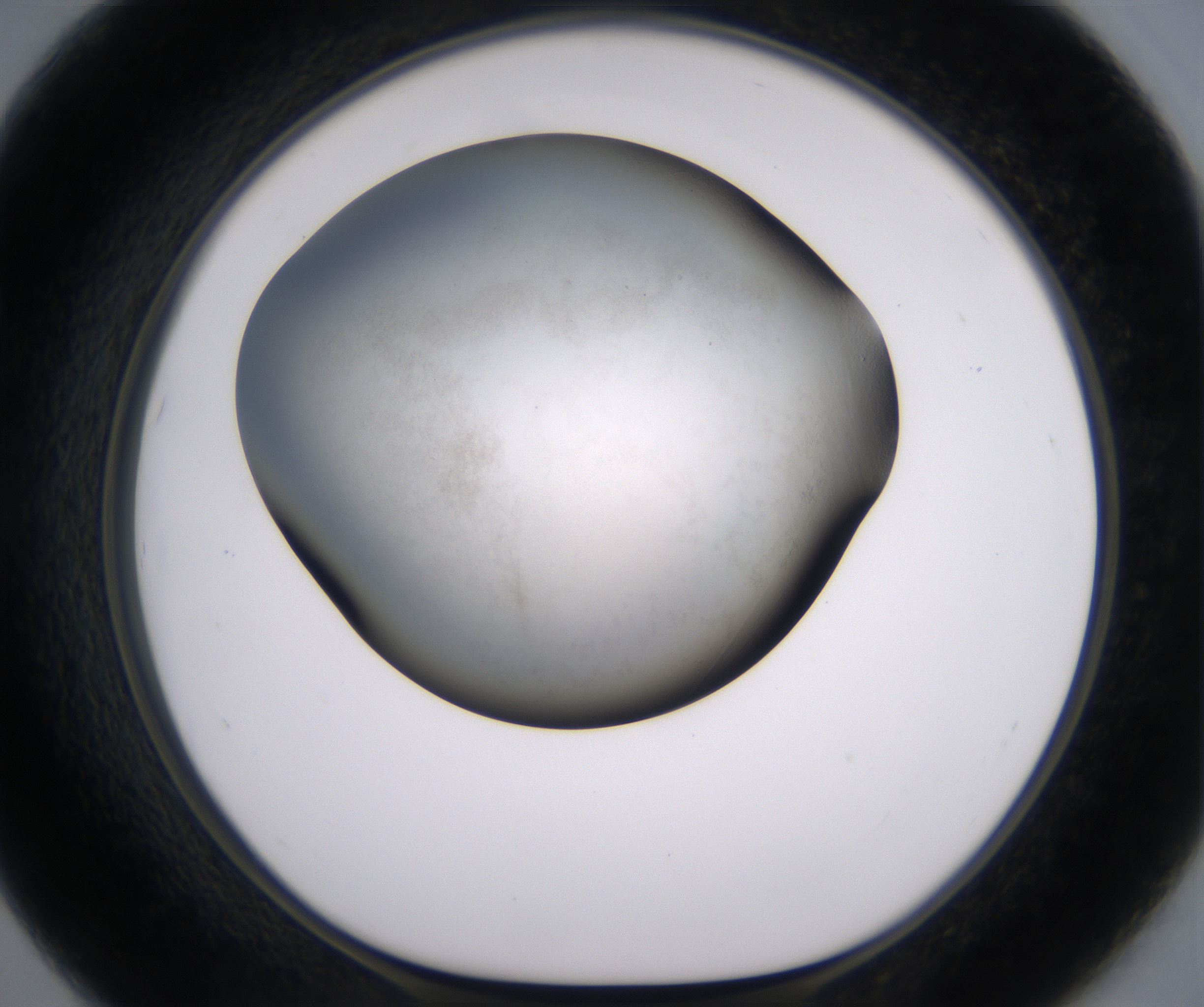 F7_HighResolution_Clear_1.jpg
