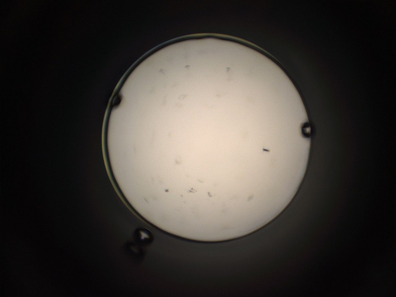 05jg_F8_ImagerDefaults_9.jpg
