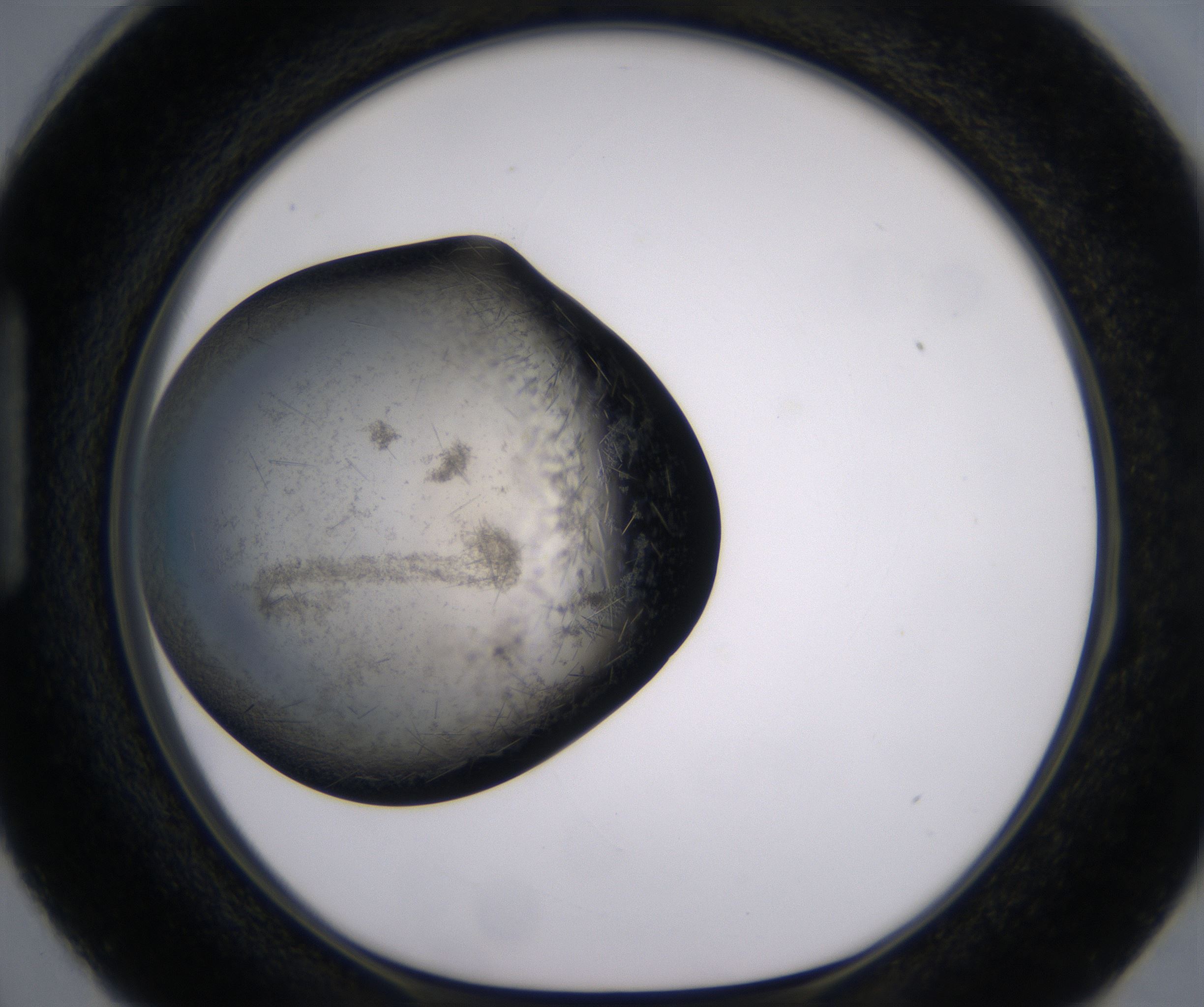 H3_HighResolution_Crystal_1.jpg