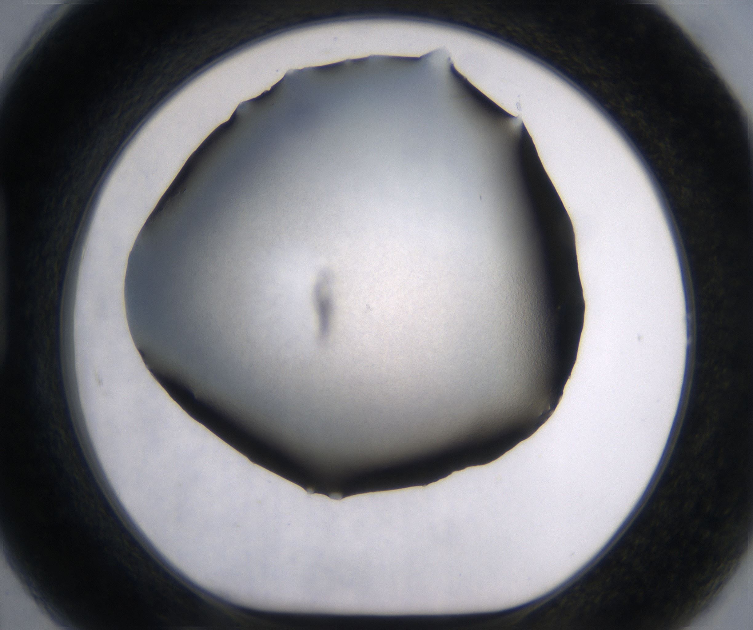 H7_HighResolution_Clear_1.jpg