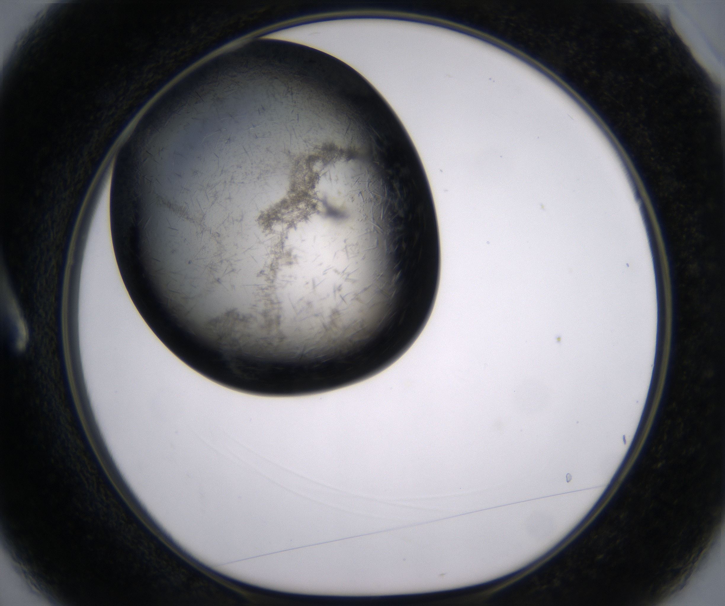 A3_HighResolution_Crystal_1.jpg