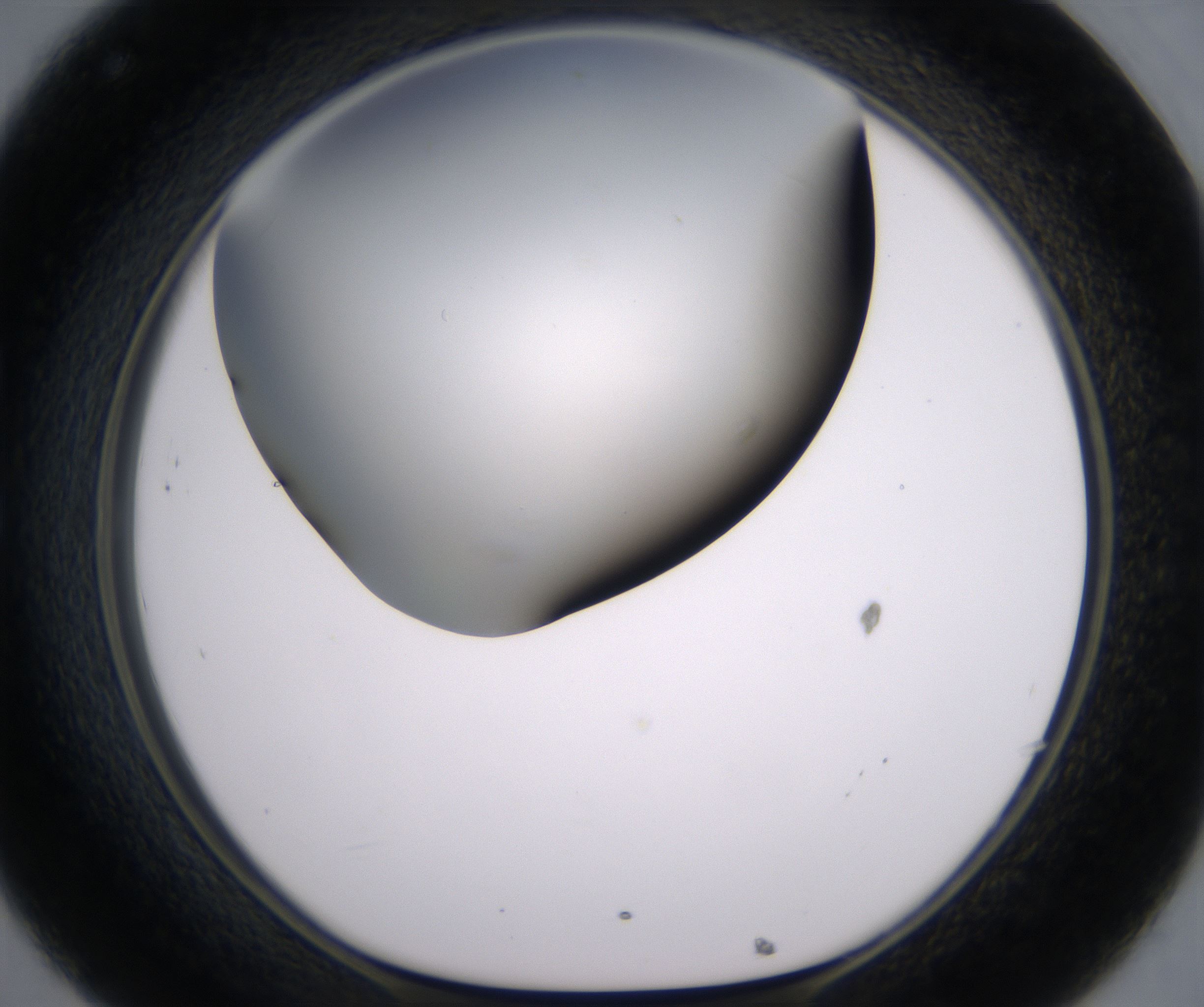 C8_HighResolution_Clear_1.jpg