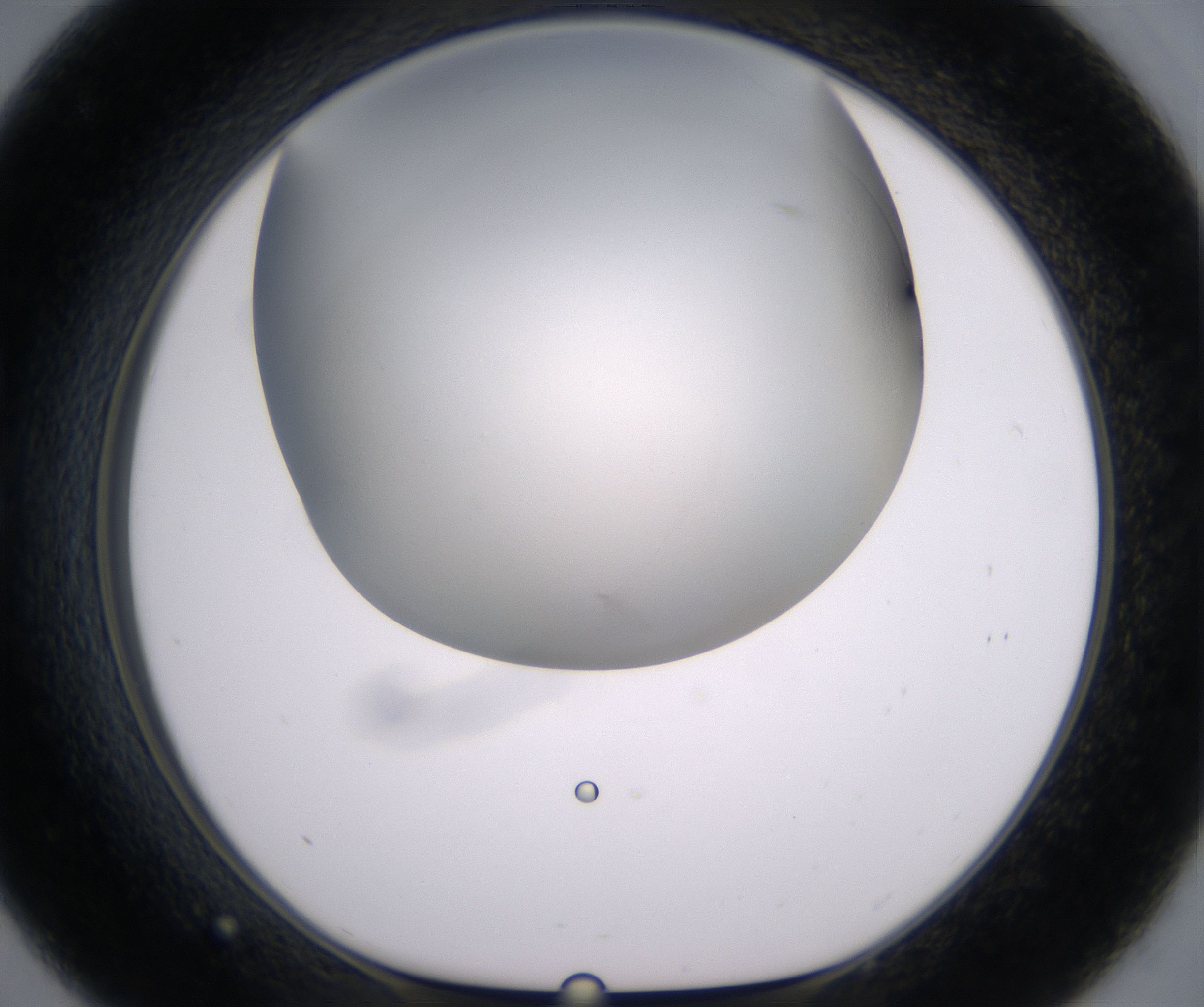 C9_HighResolution_Clear_1.jpg
