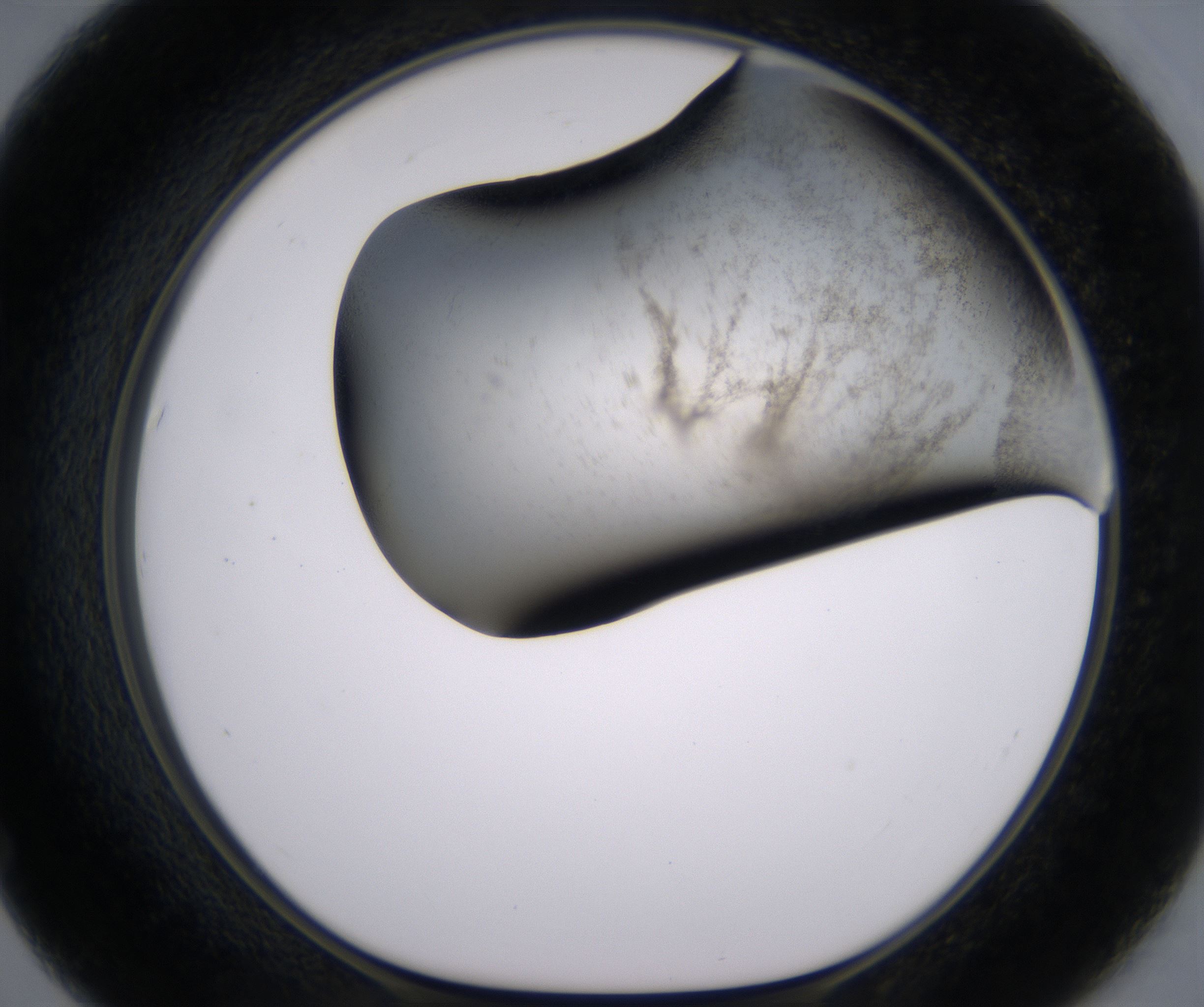 F7_HighResolution_Precipitate_1.jpg