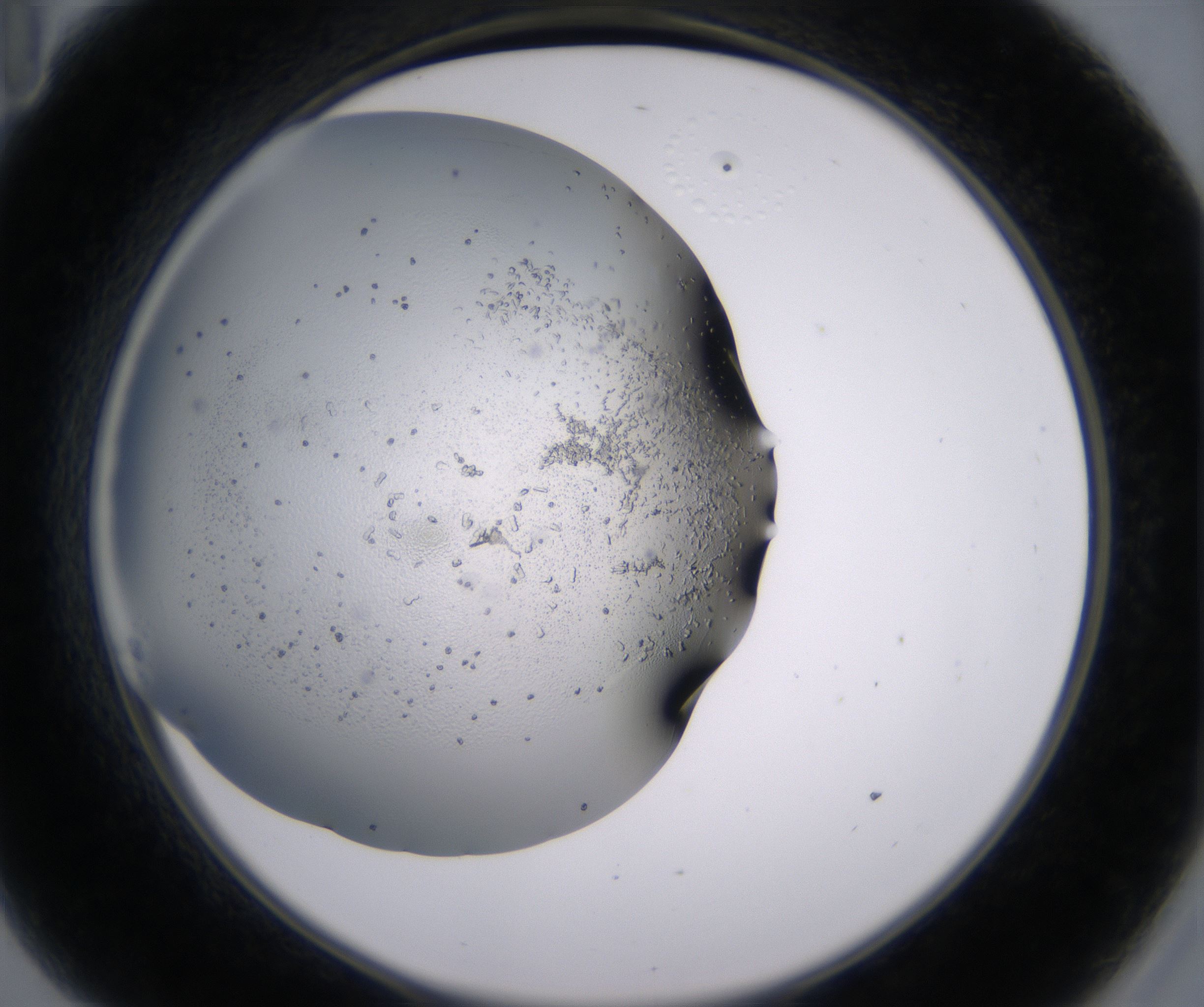 A11_HighResolution_Crystal_2.jpg