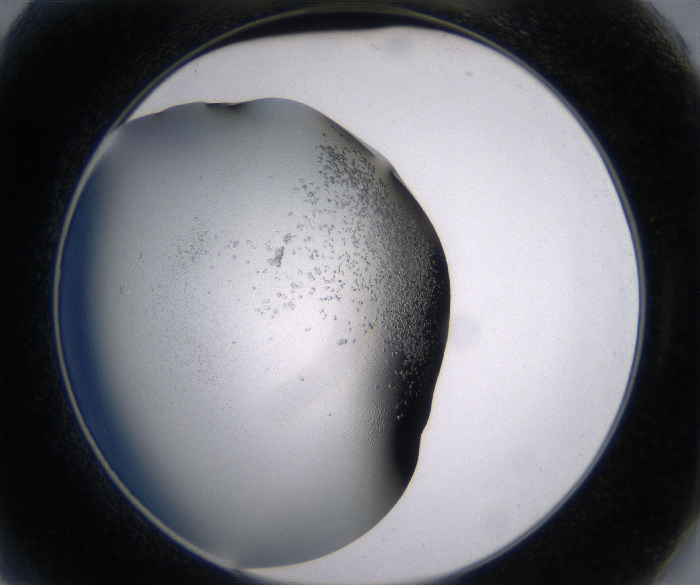 A2_HighResolution_Crystal_2.jpg