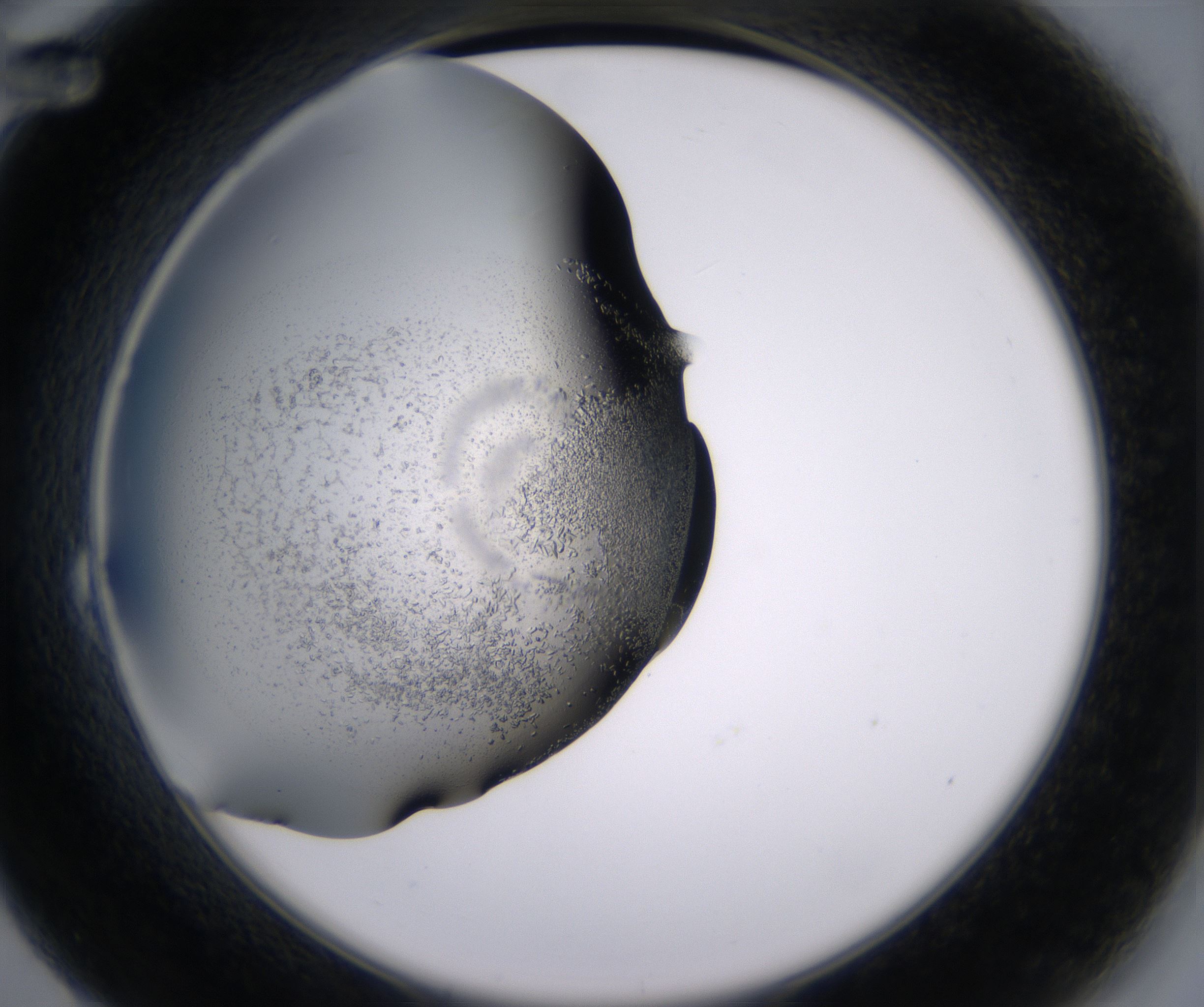 B12_HighResolution_Crystal_2.jpg