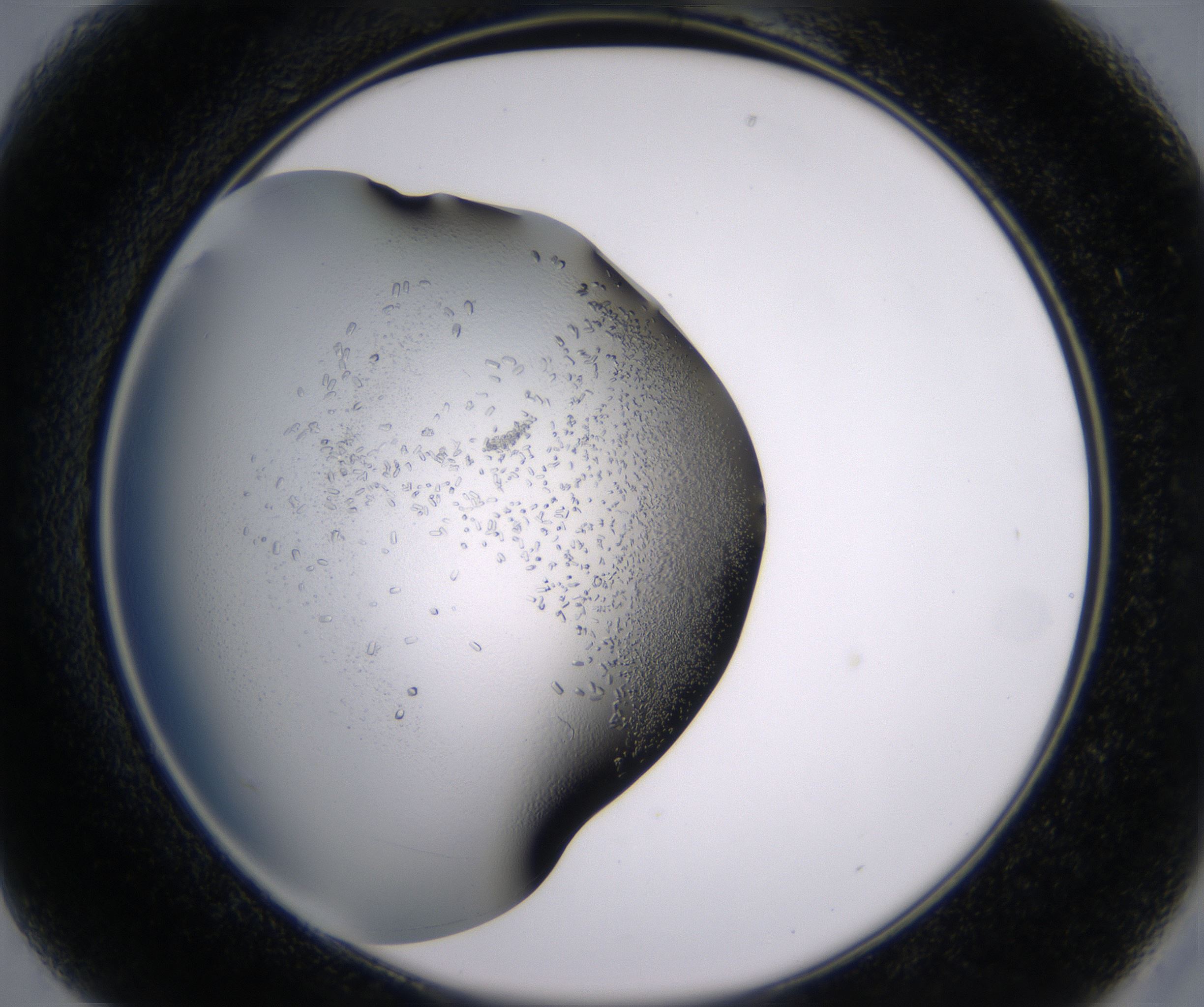 B1_HighResolution_Crystal_2.jpg