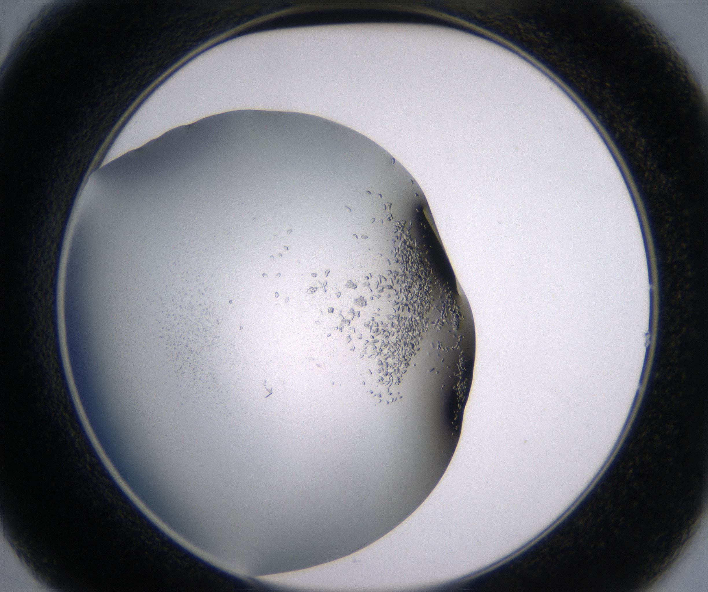 B2_HighResolution_Crystal_2.jpg