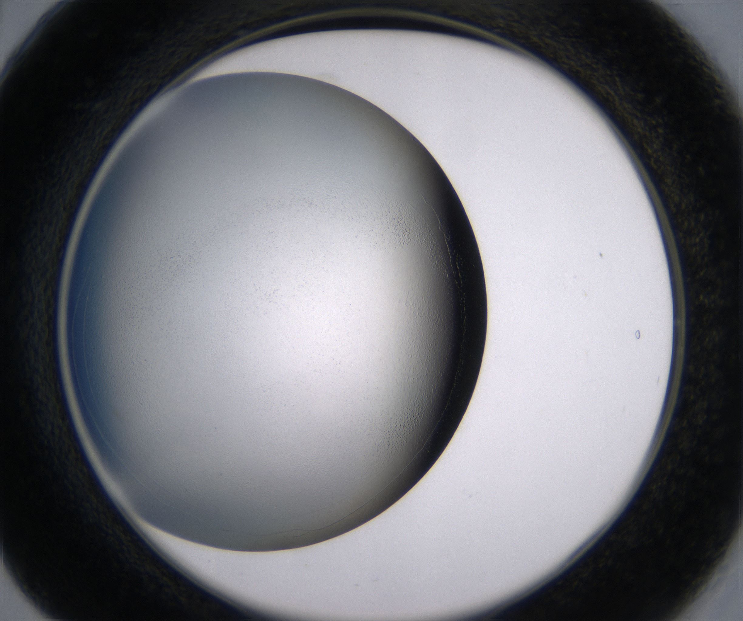 B5_HighResolution_Clear_2.jpg