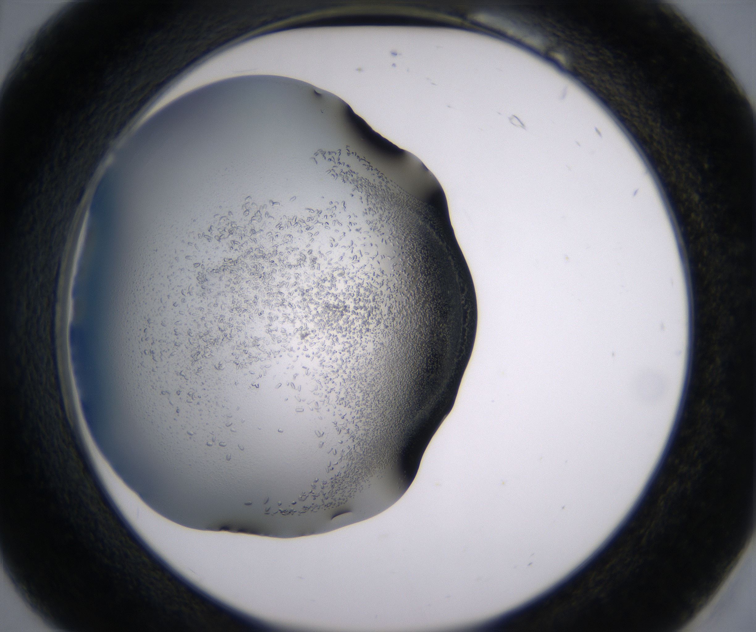 B6_HighResolution_Crystal_2.jpg