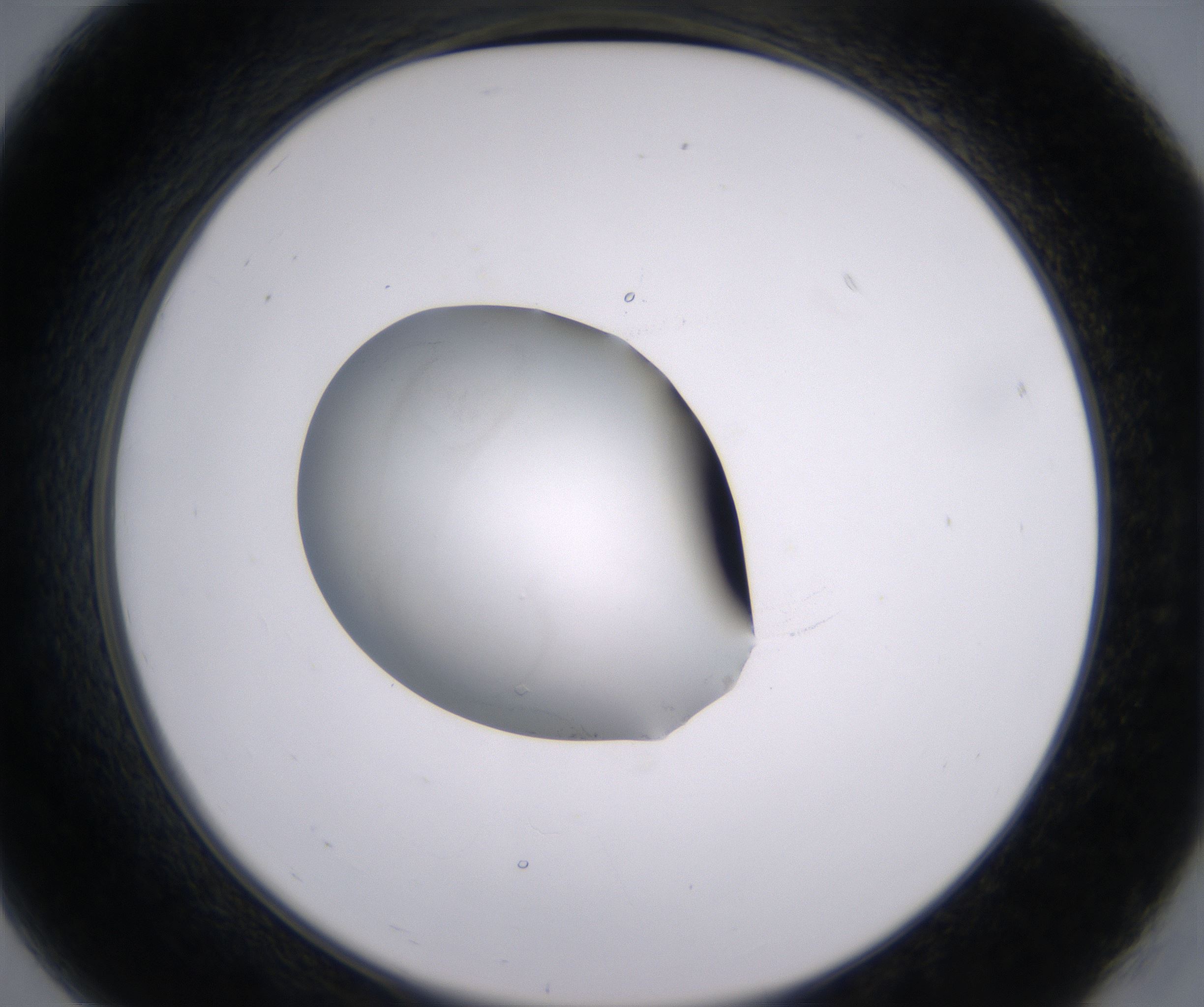 B7_HighResolution_Clear_2.jpg