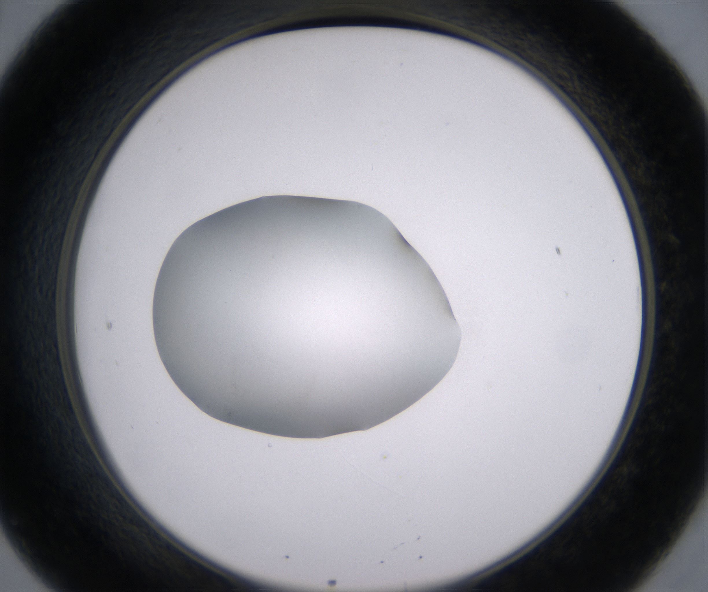 B8_HighResolution_Clear_2.jpg