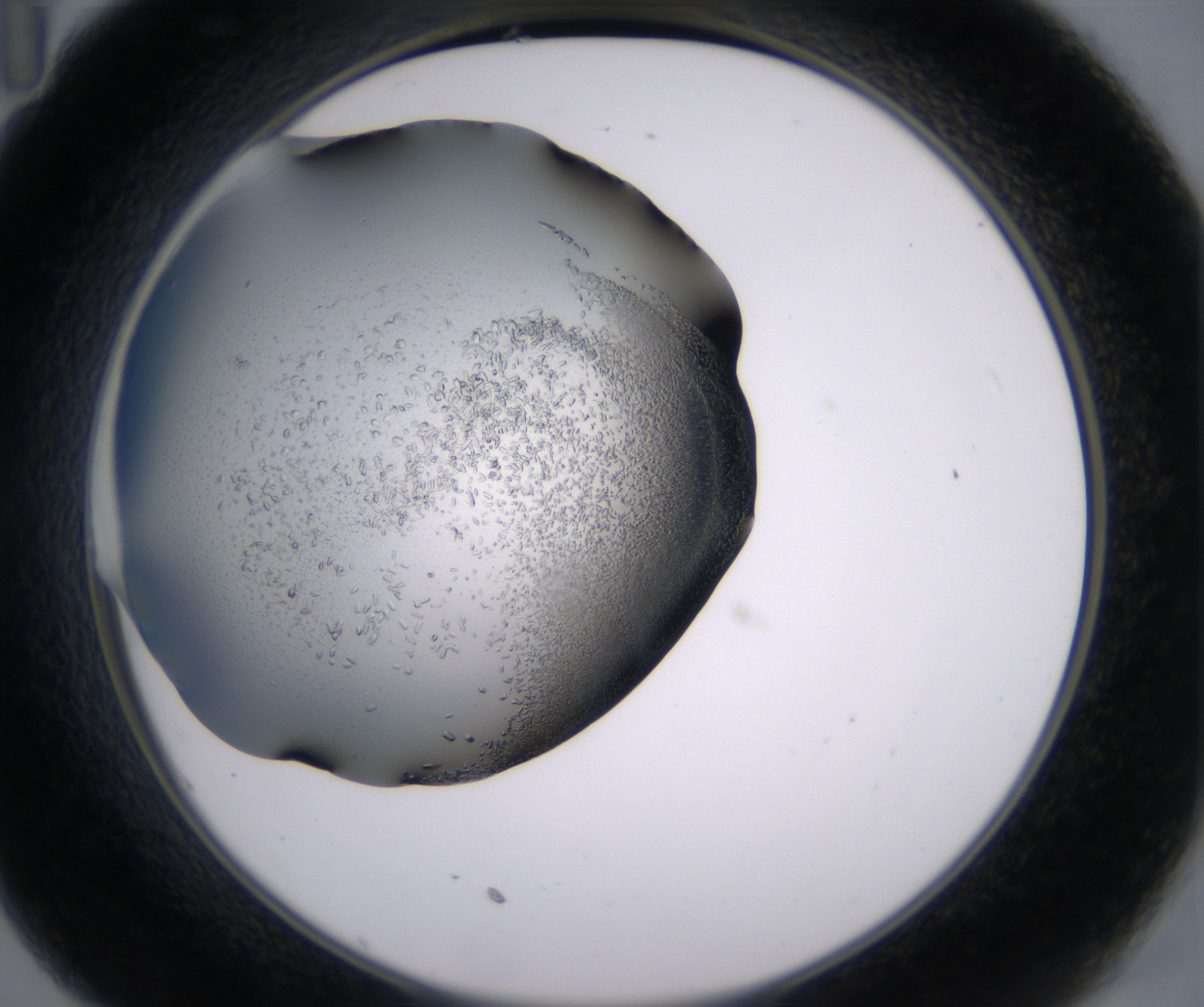 C11_HighResolution_Crystal_2.jpg