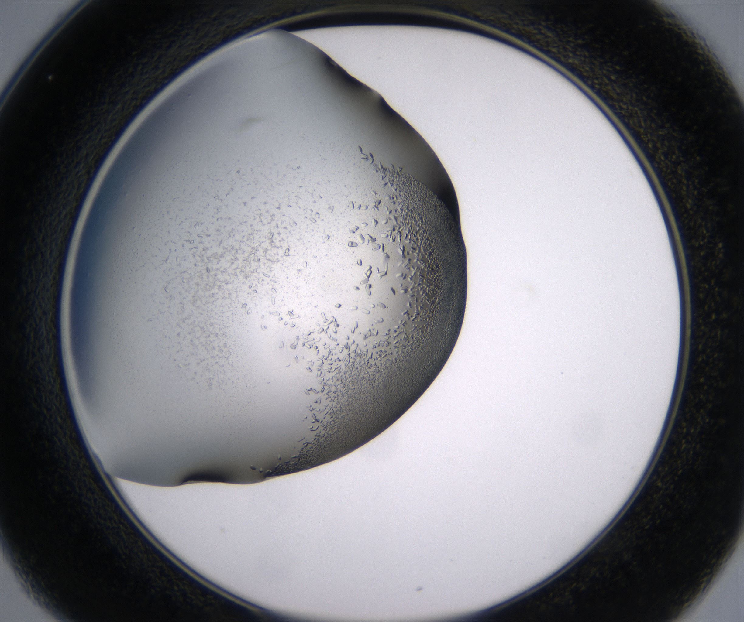 C1_HighResolution_Crystal_2.jpg