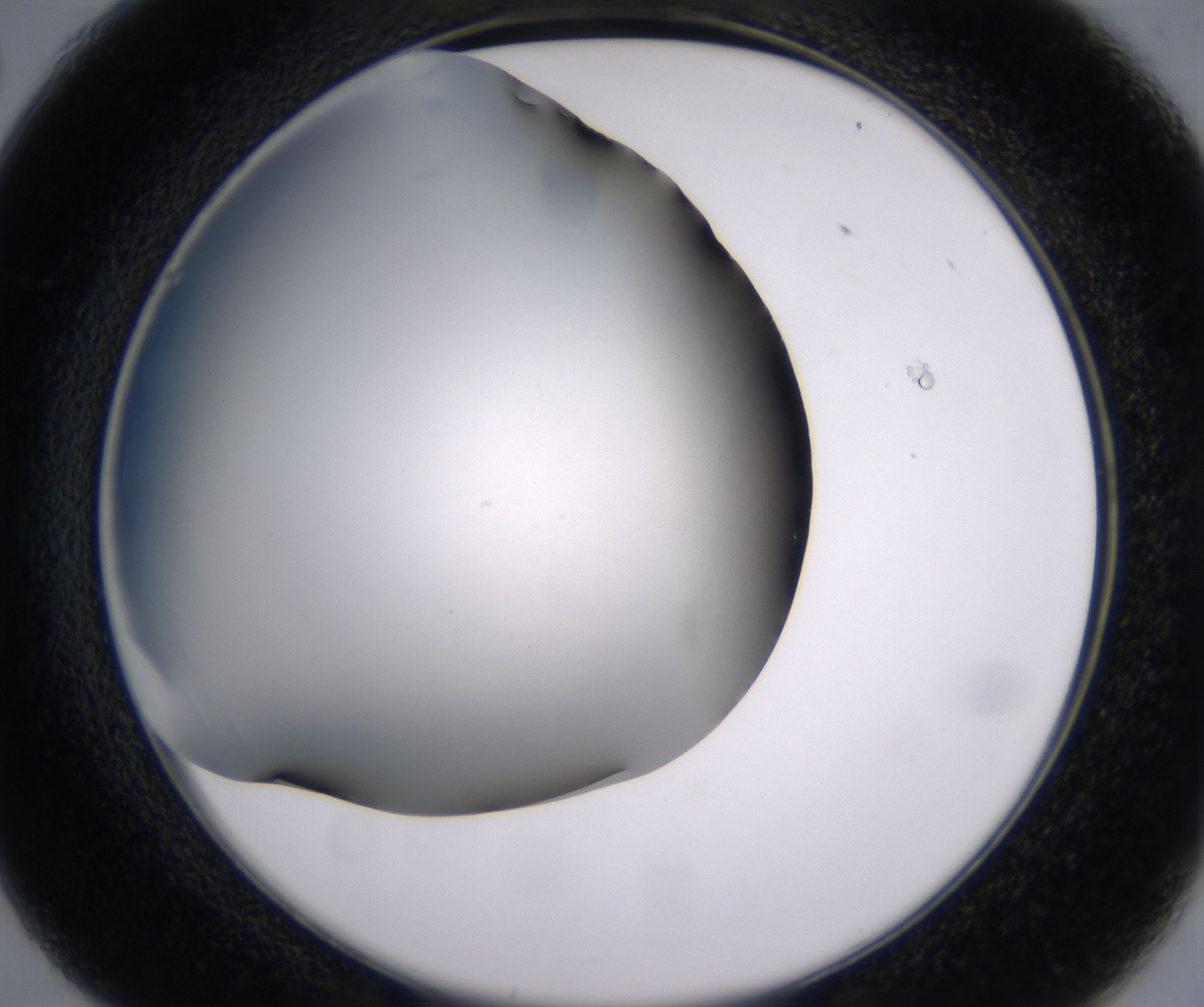 C2_HighResolution_Clear_2.jpg